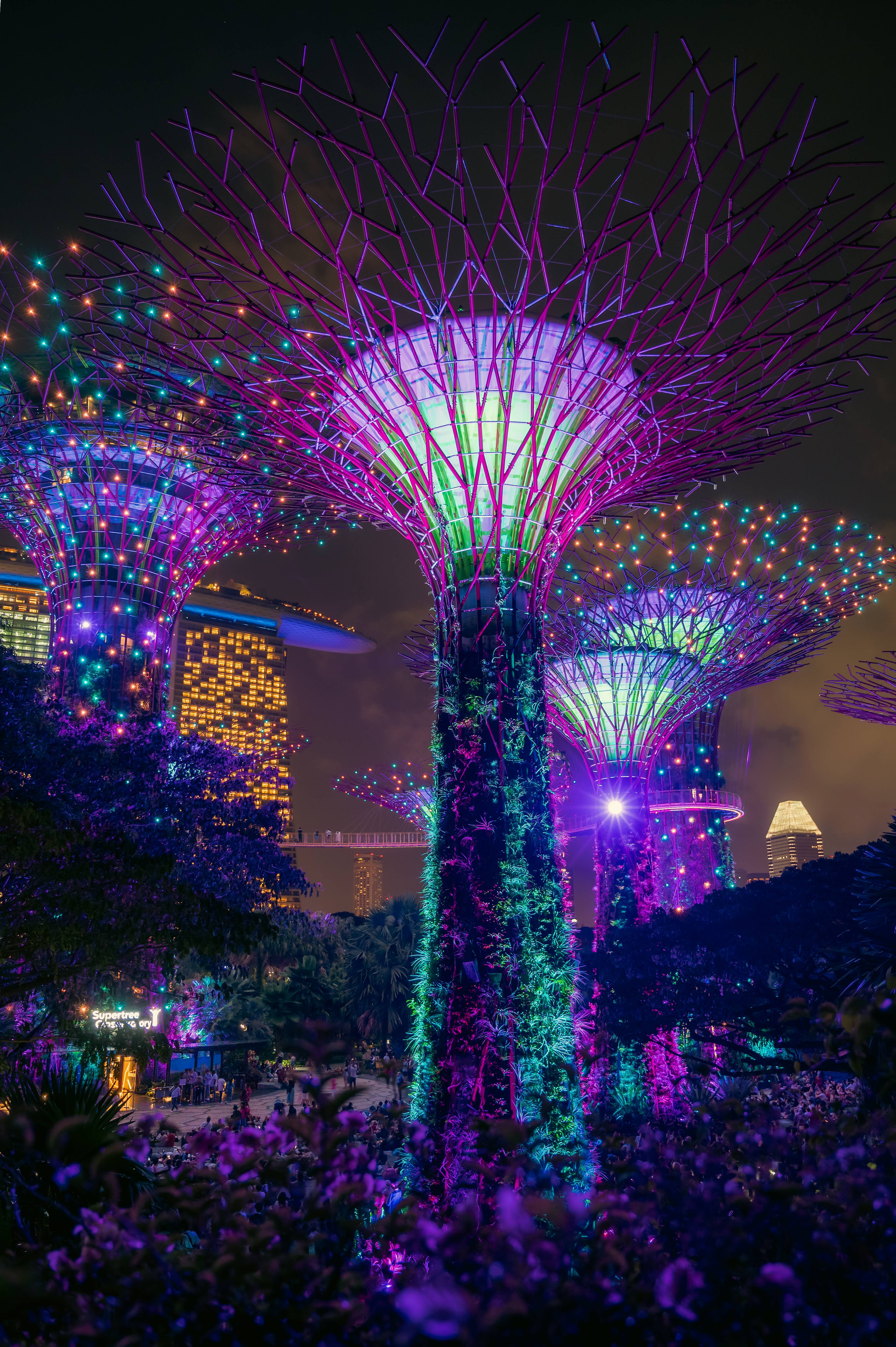 Gardens by the Bay
