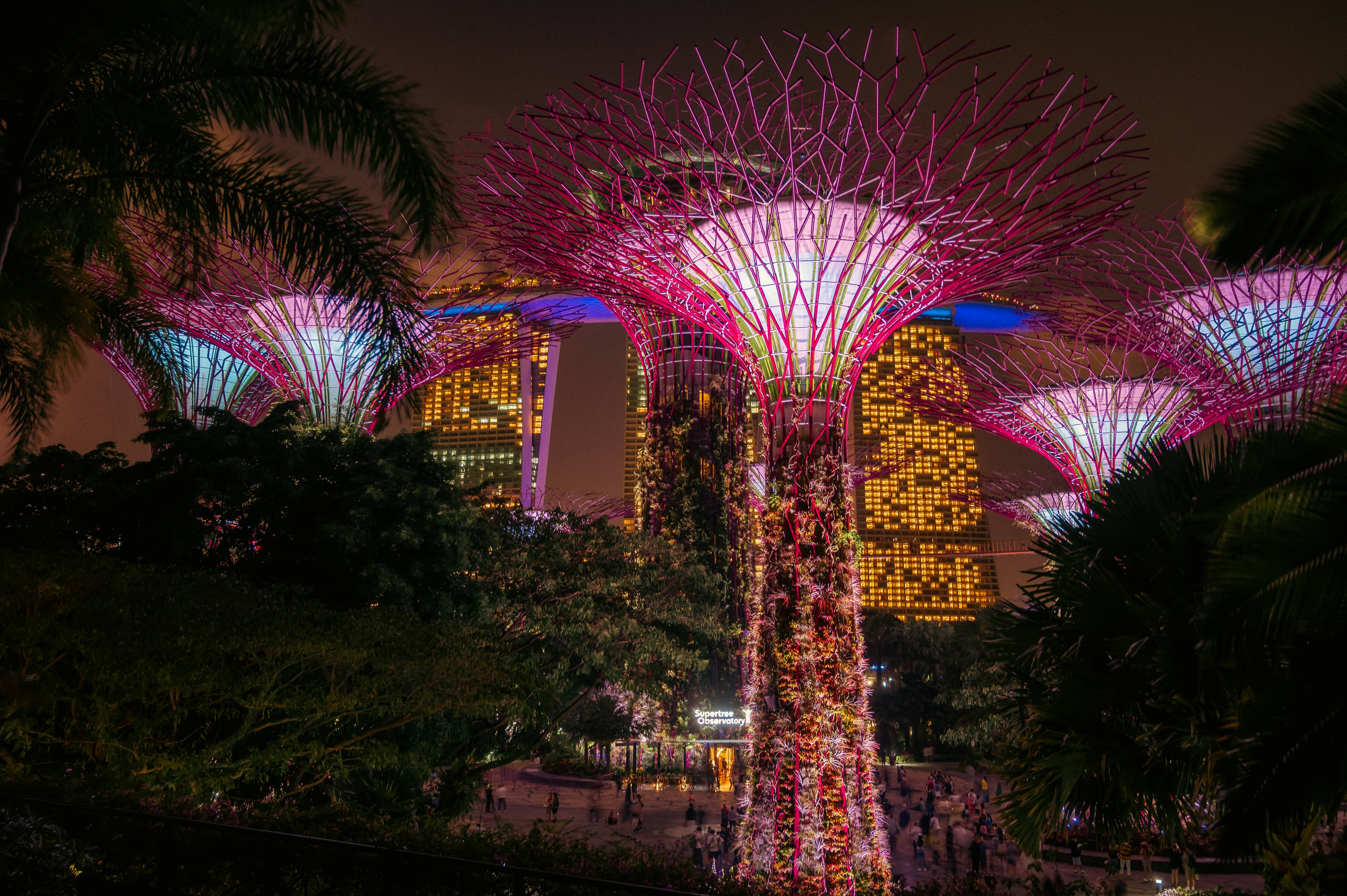 Gardens by the Bay