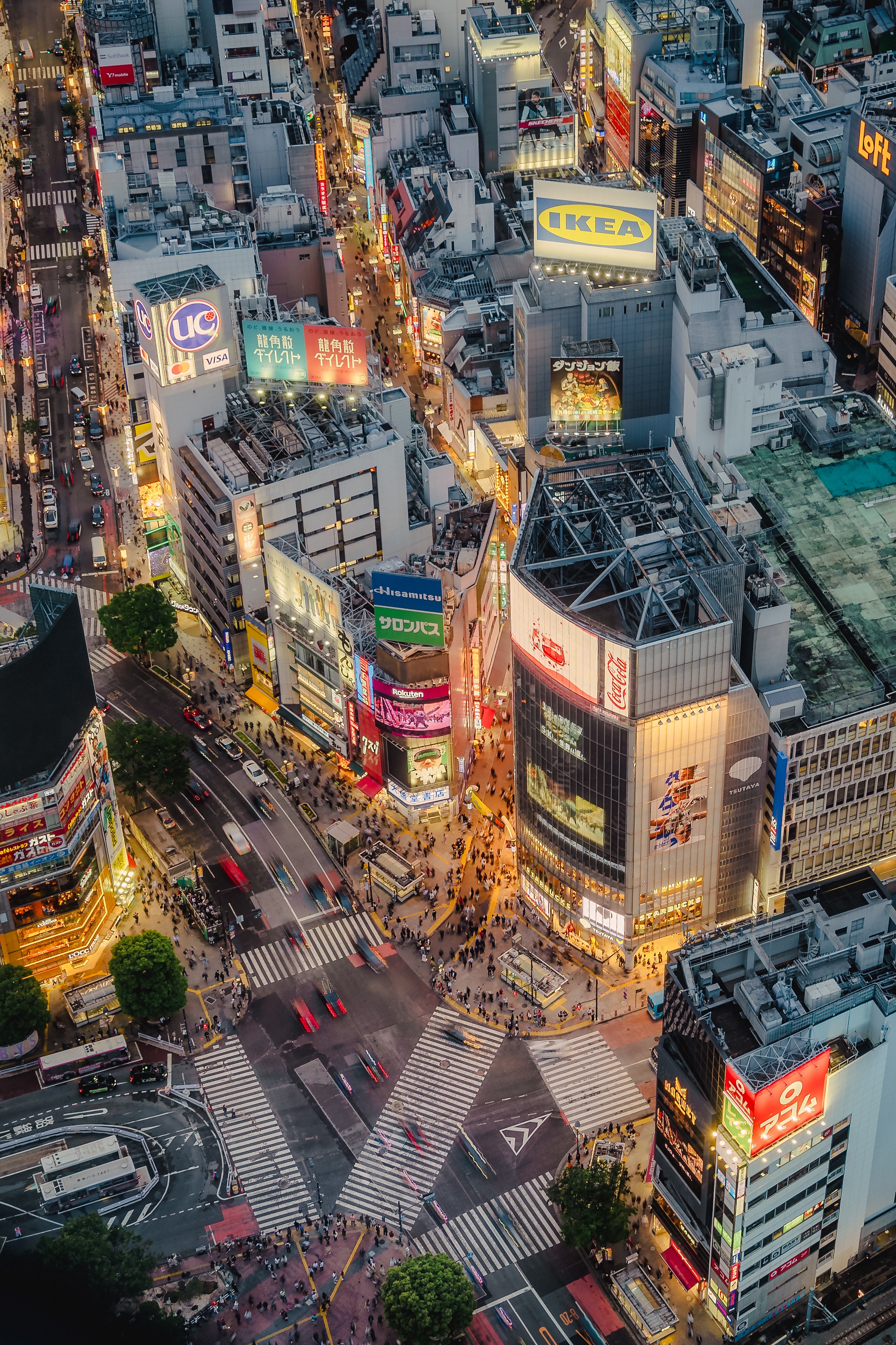 Shibuya Crossing