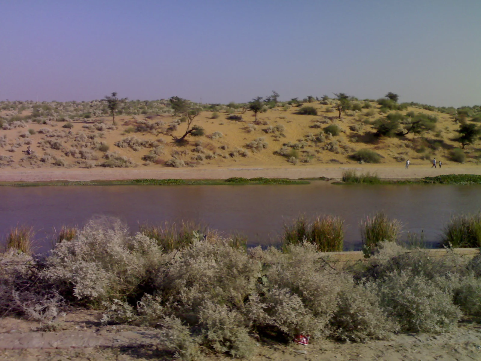 Indira Gandhi Canal flowing through Thar Desert in Western Rajasthan