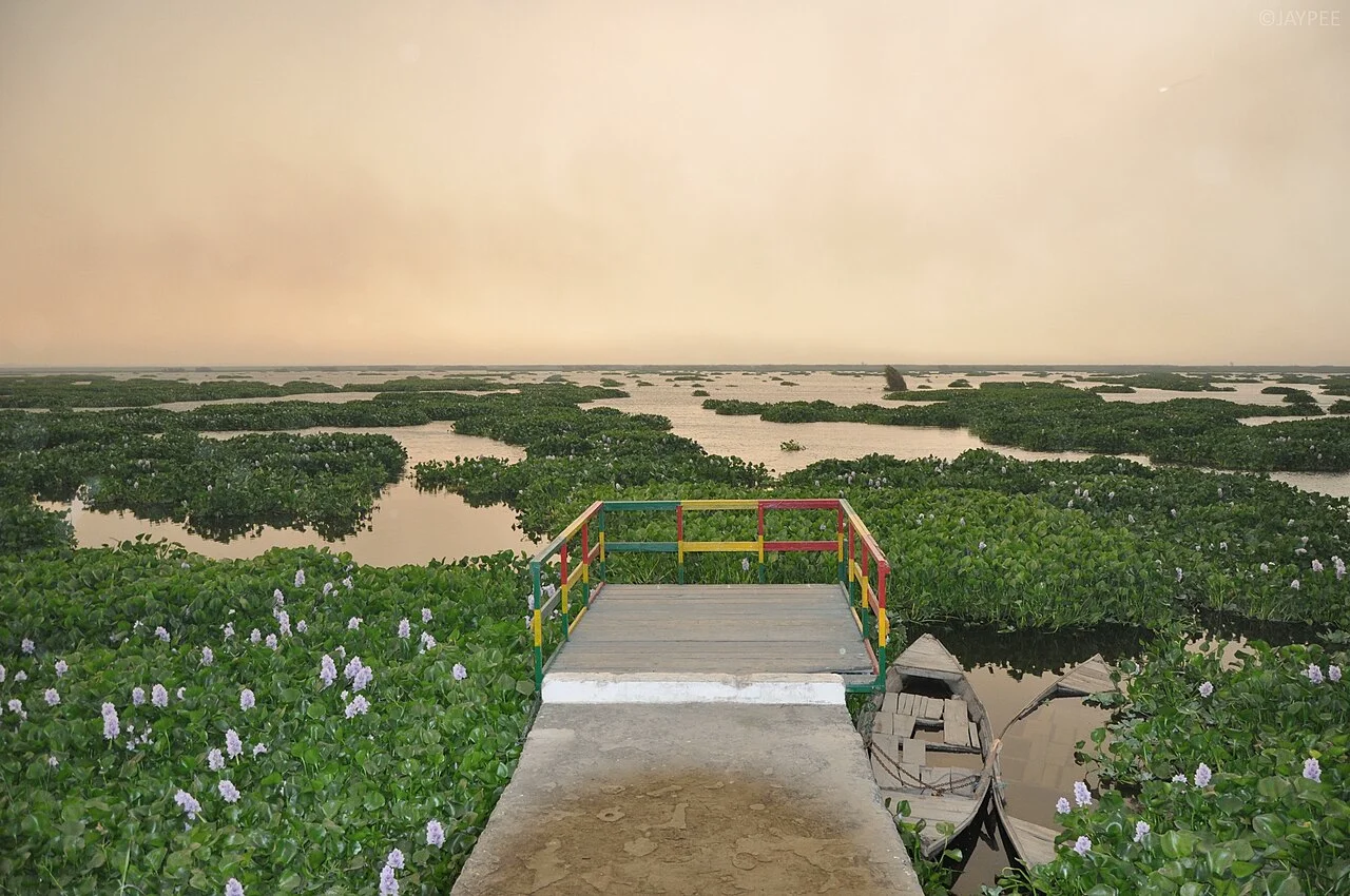 Harike Barrage headworks at Sutlej and Beas confluence in Punjab