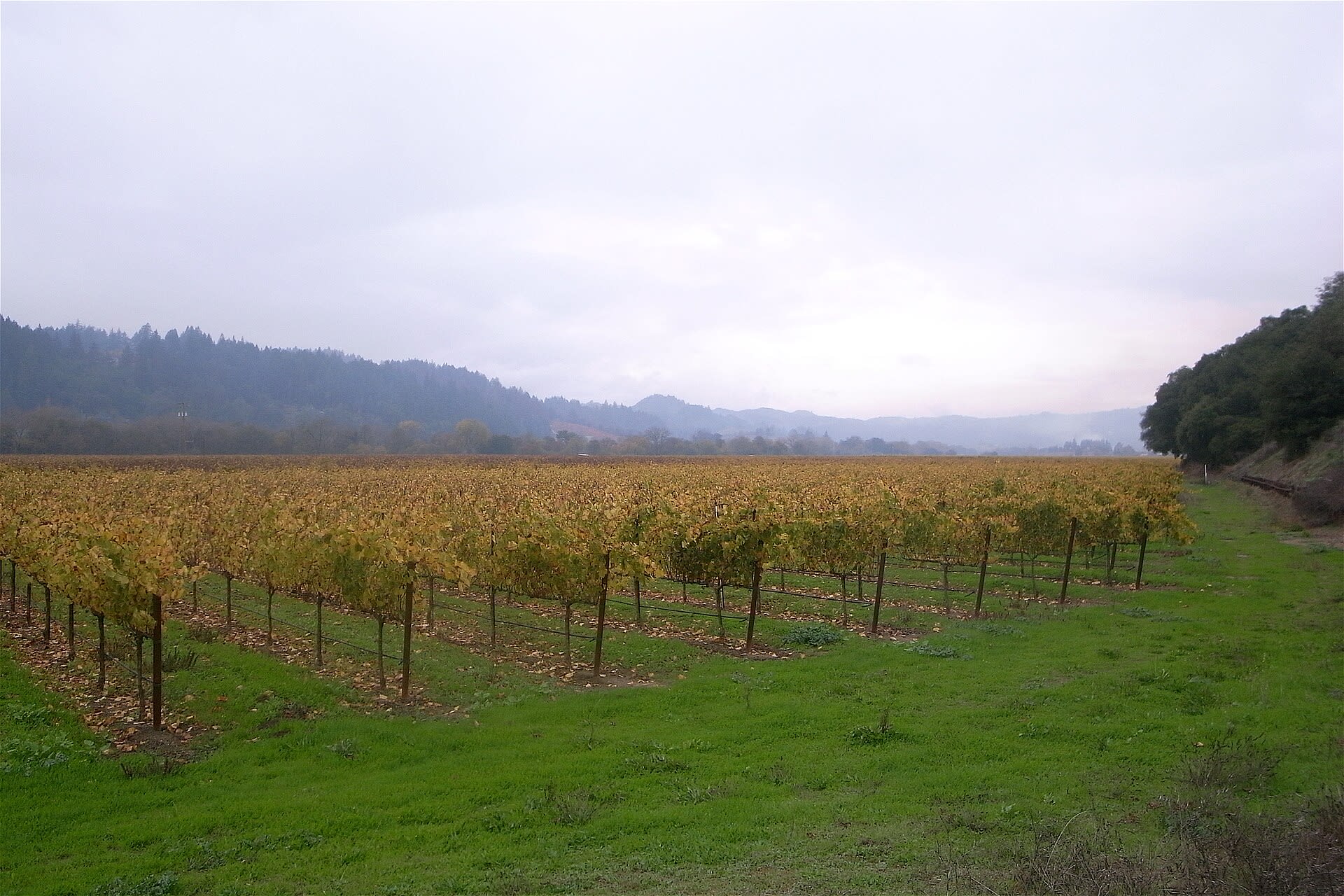 Best Time to Visit Healdsburg, CA