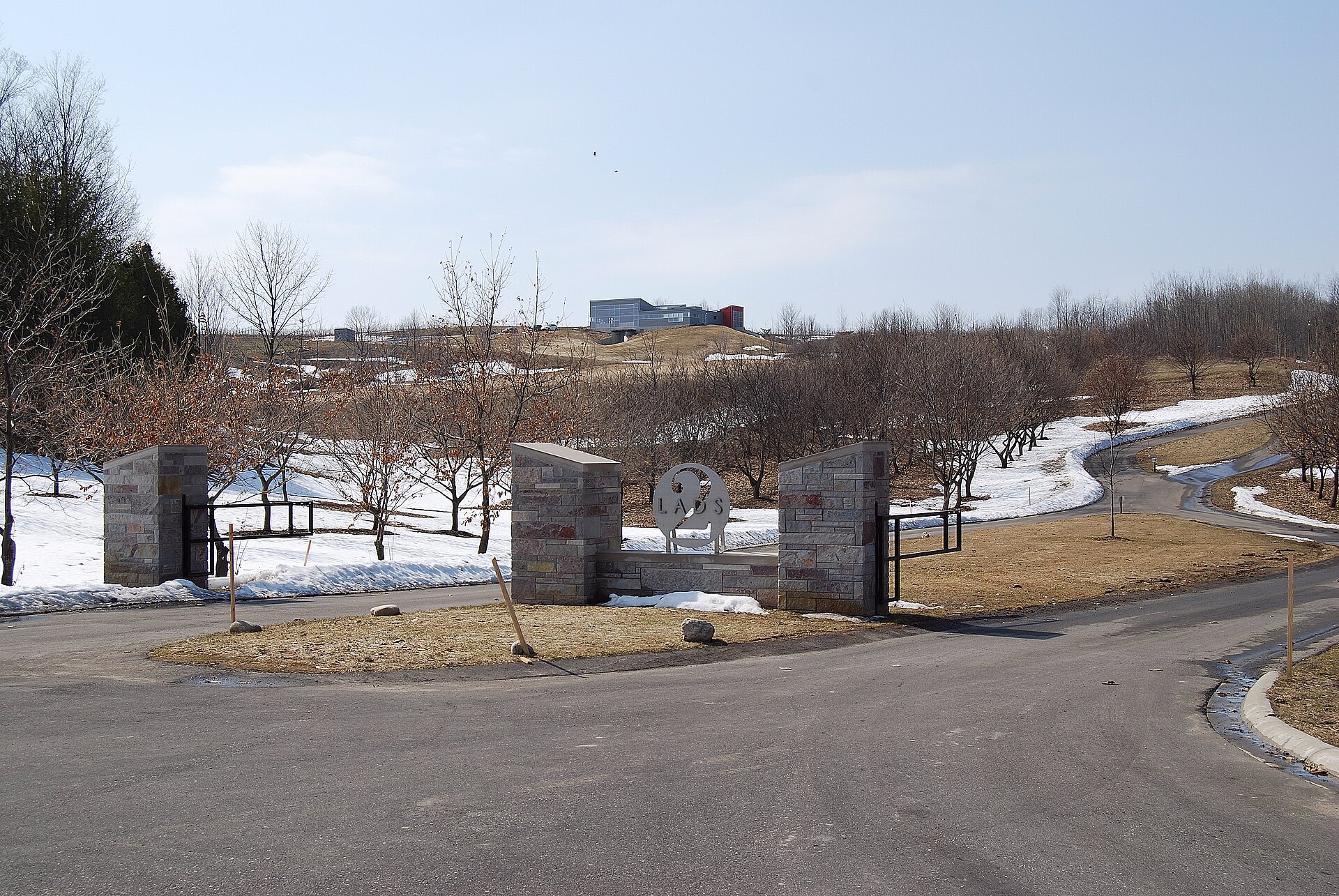 Vineyard at Two Lads Winery on Old Mission Peninsula