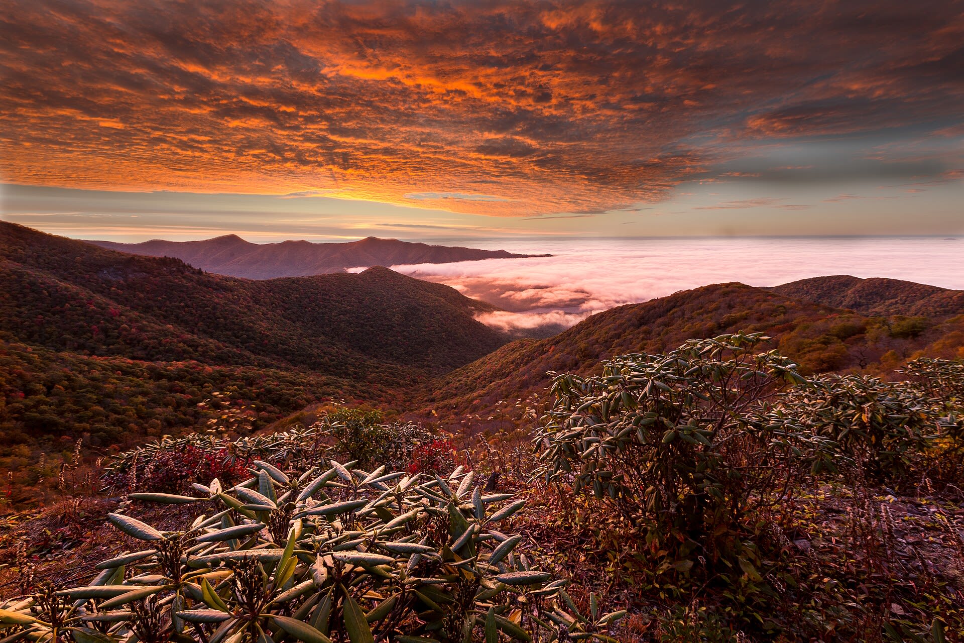 Best Time to Visit Asheville, NC