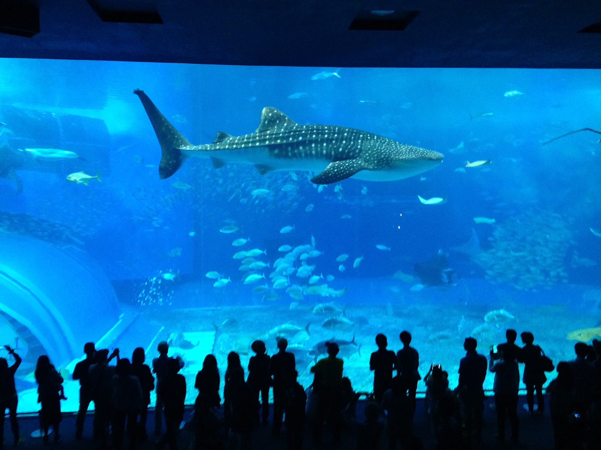 Things to Do in Okinawa: Beyond the Beach Clichés