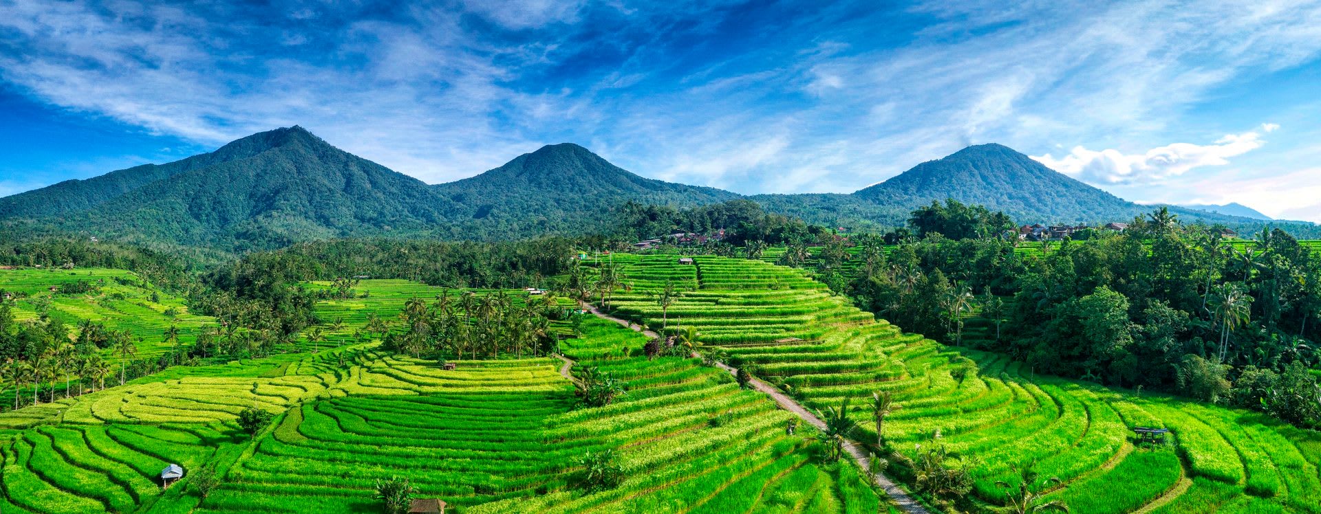 Jatiluwih's UNESCO-listed rice terraces near Tabanan, Bali