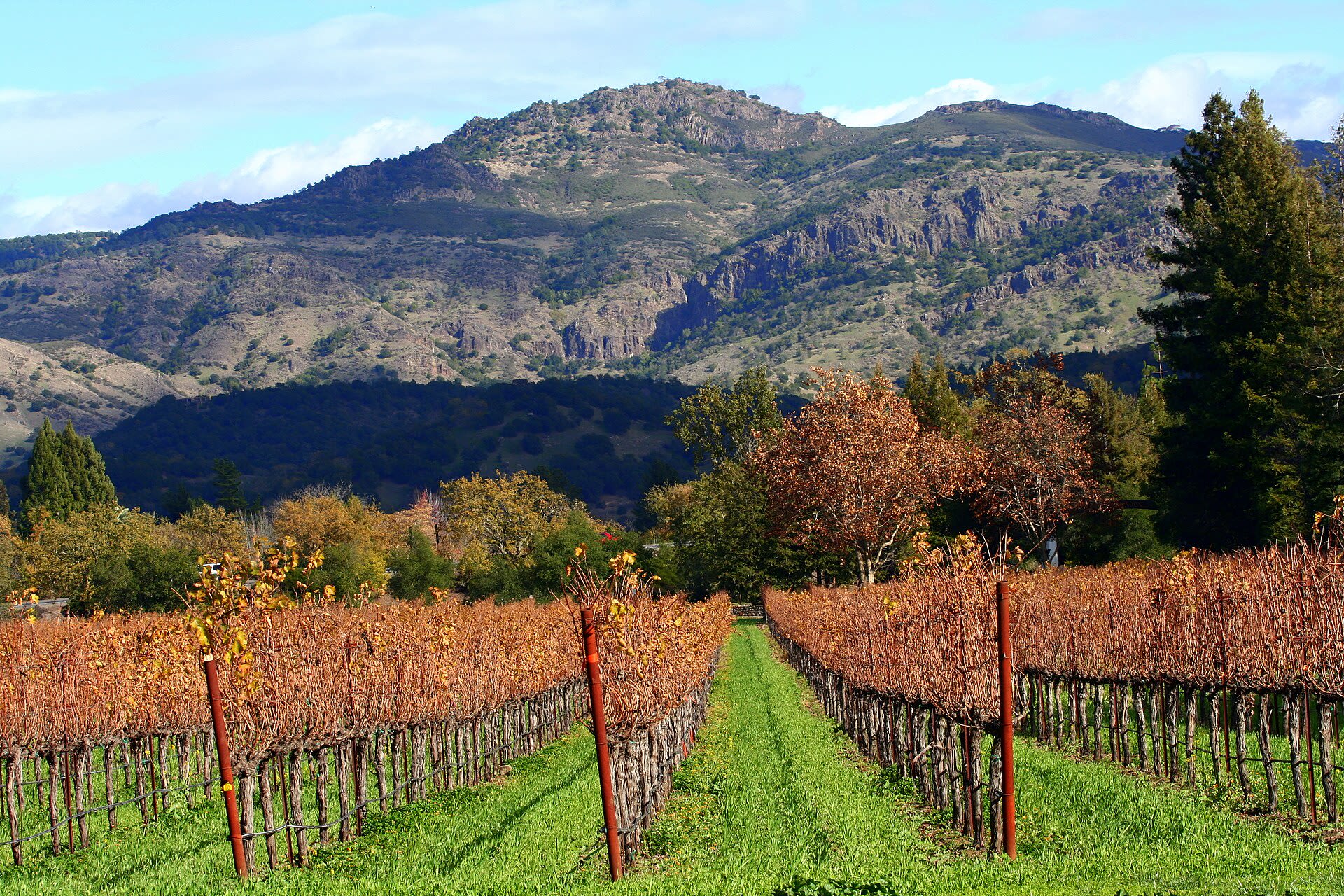 Best Time to Visit Napa, California