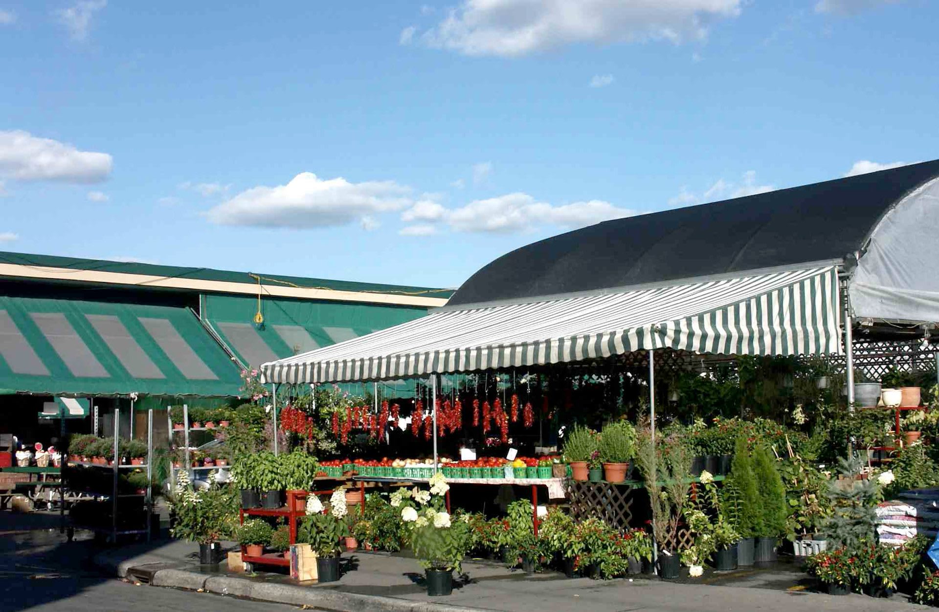 Jean-Talon Market, Montreal