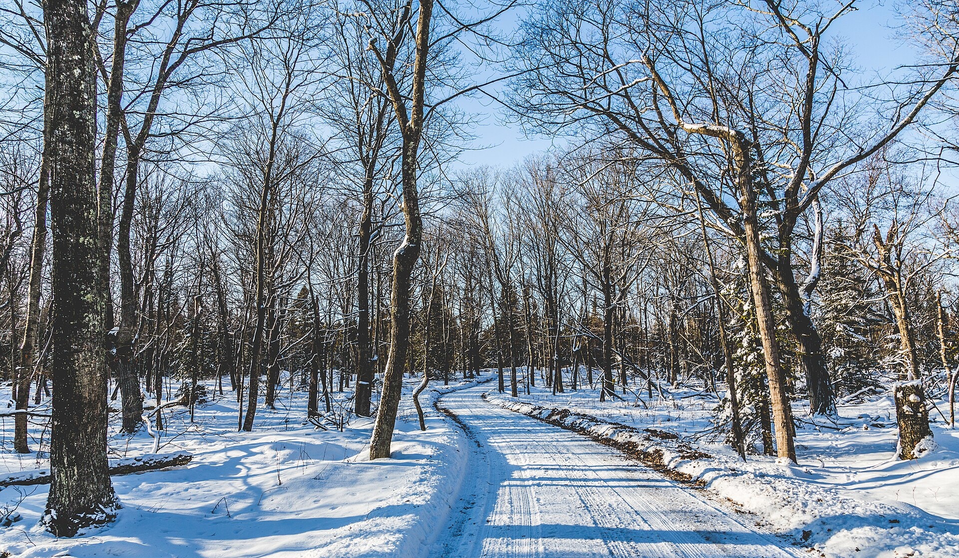 Best Time to Visit Door County