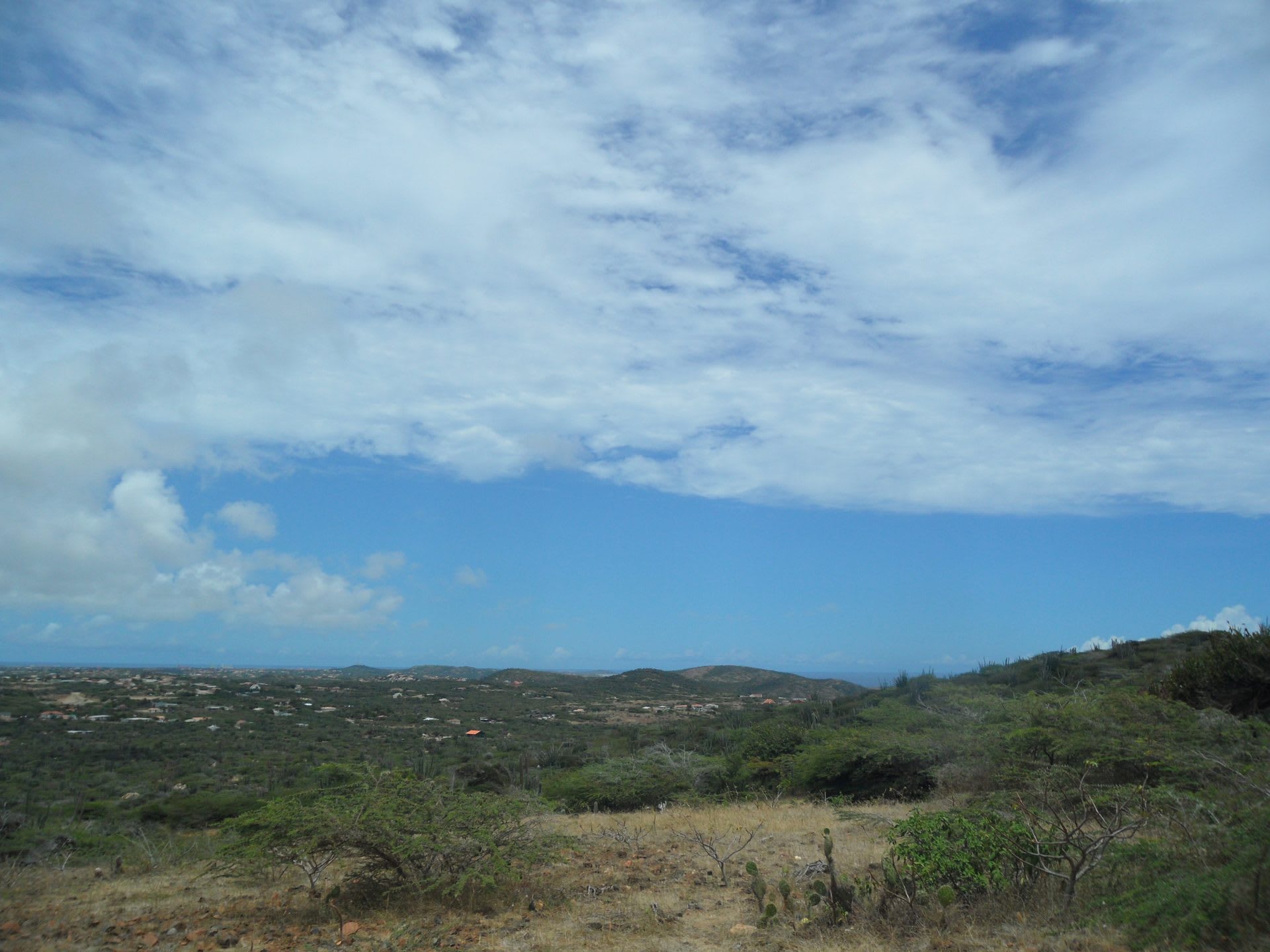 Cactus-covered hills in Aruba's Arikok National Park