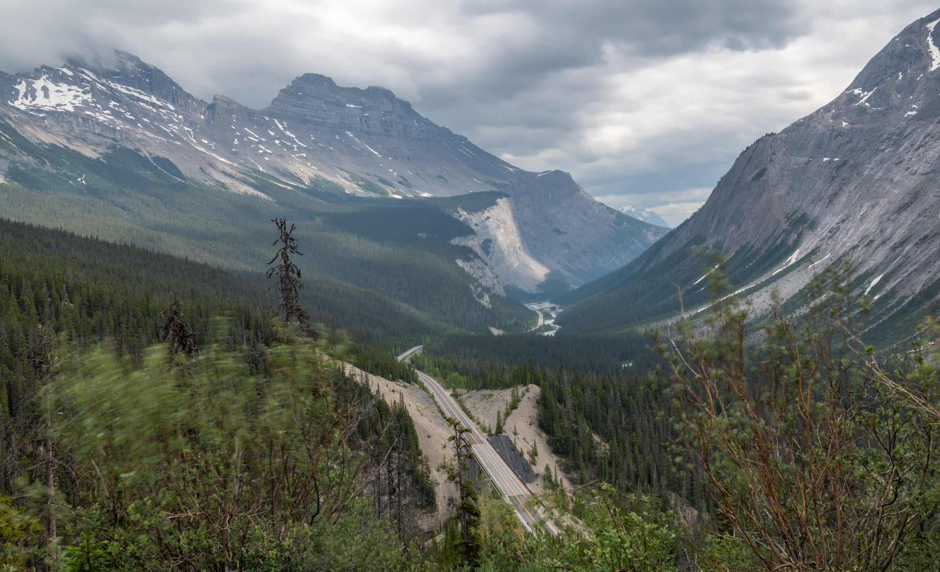 Jasper National Park Travel Guide: Glaciers, Maligne Lake & Wildlife