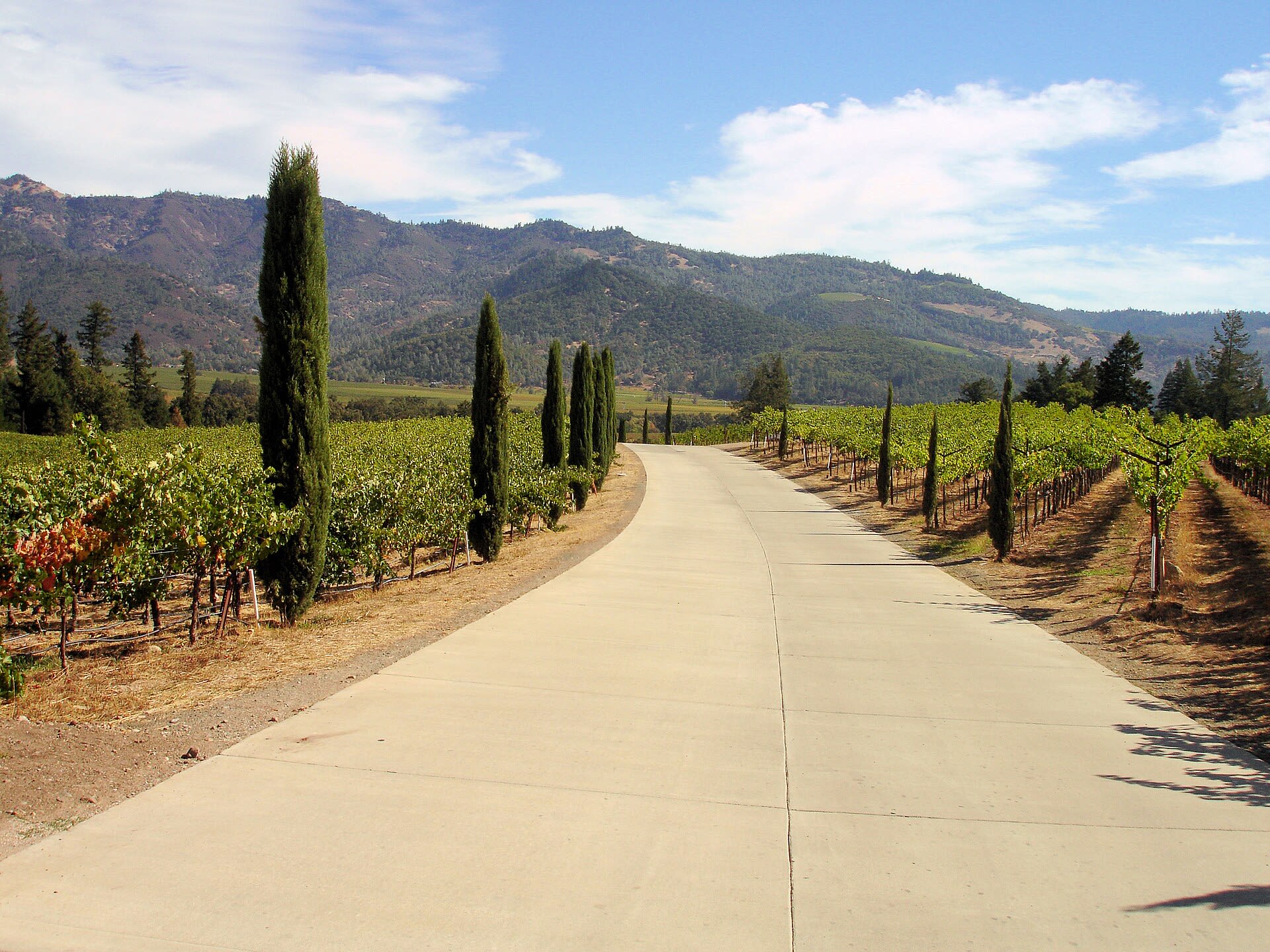 Things to Do in Napa