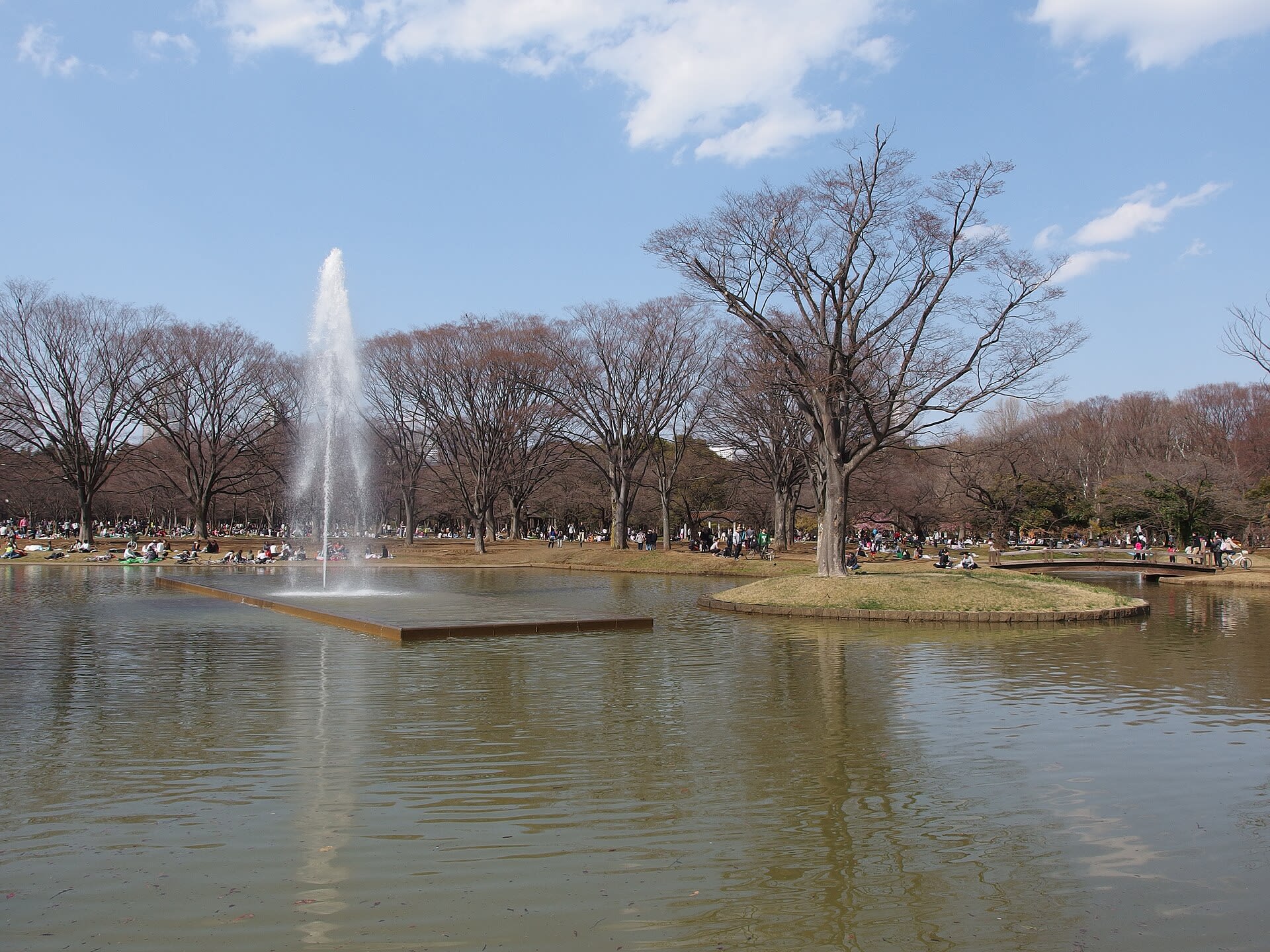 Yoyogi Park, Tokyo
