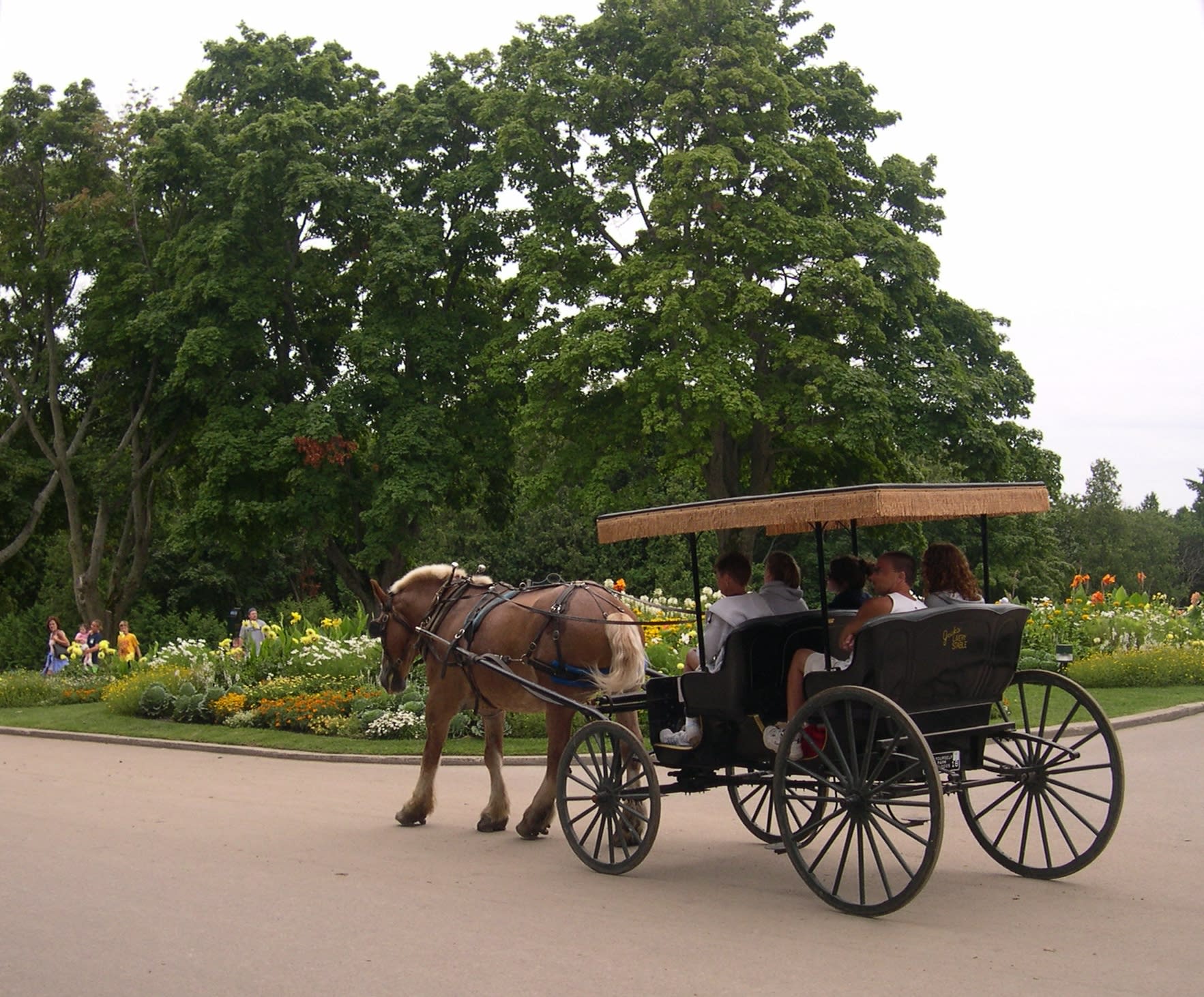 Carriage Tours on Mackinac Island