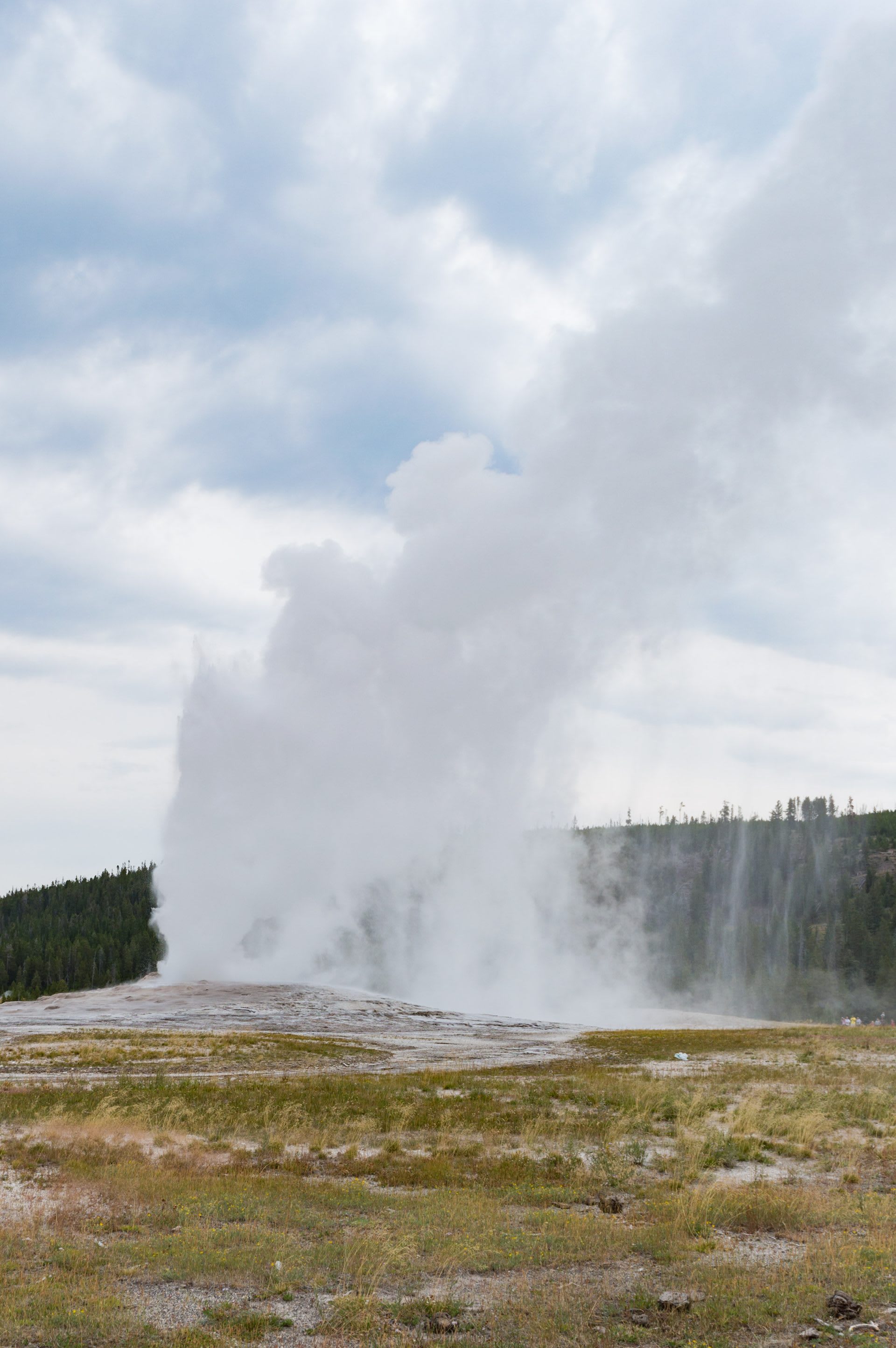 Old Faithful erupting in Yellowstone National Park