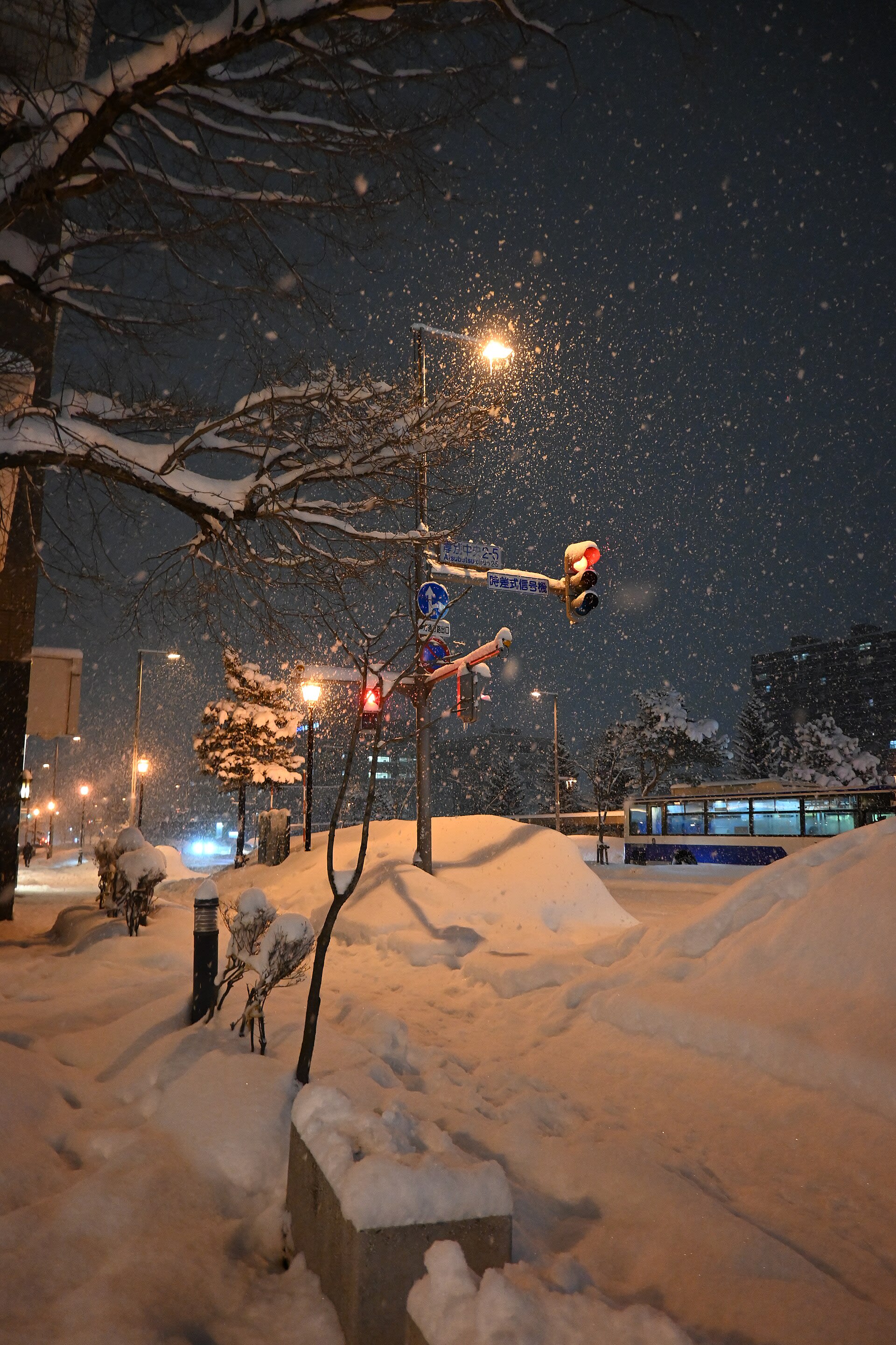 Snow on the streets of Sapporo at night