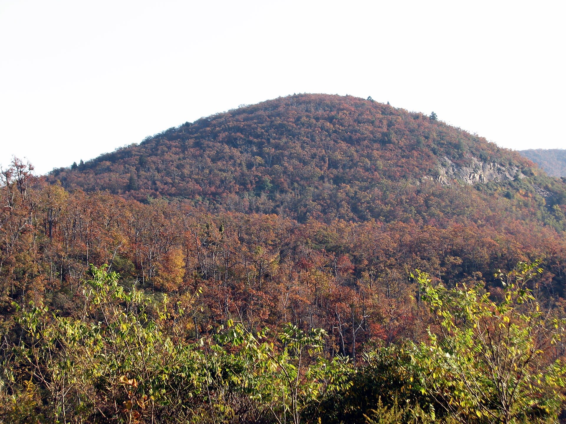Autumn foliage at an overlook over Graveyard Fields along the Blue Ridge Parkway near Asheville