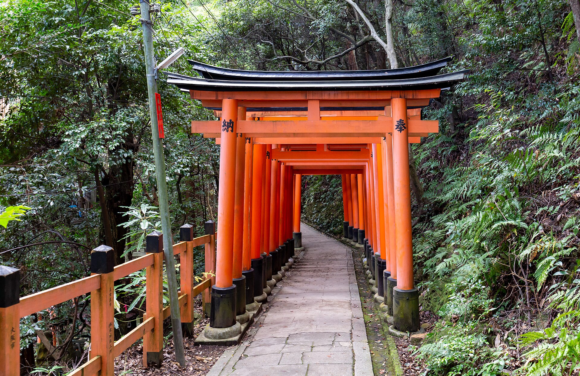 Fushimi Inari Taisha: The Thousand Torii Gates