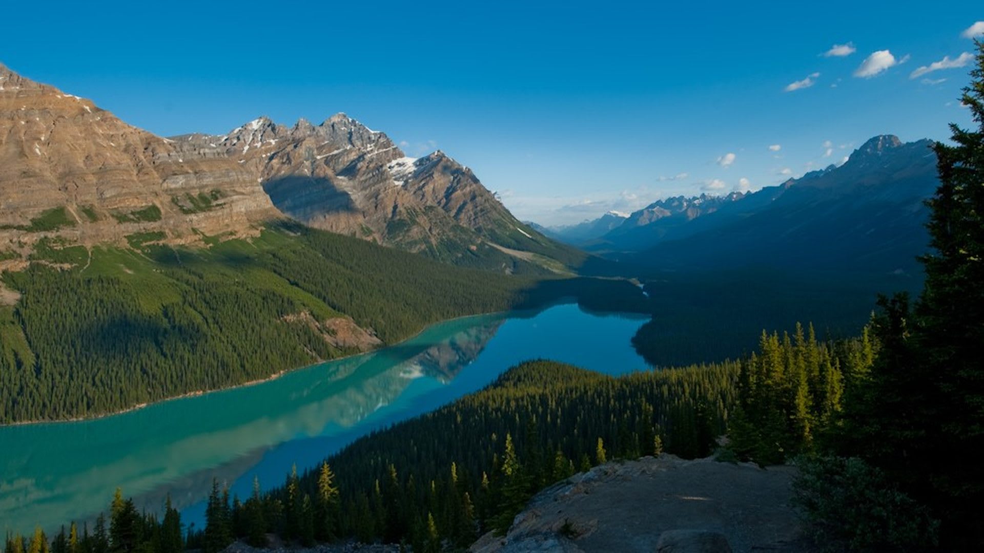 Turquoise glacier-fed waters of Peyto Lake viewed from the lookout along the Icefields Parkway