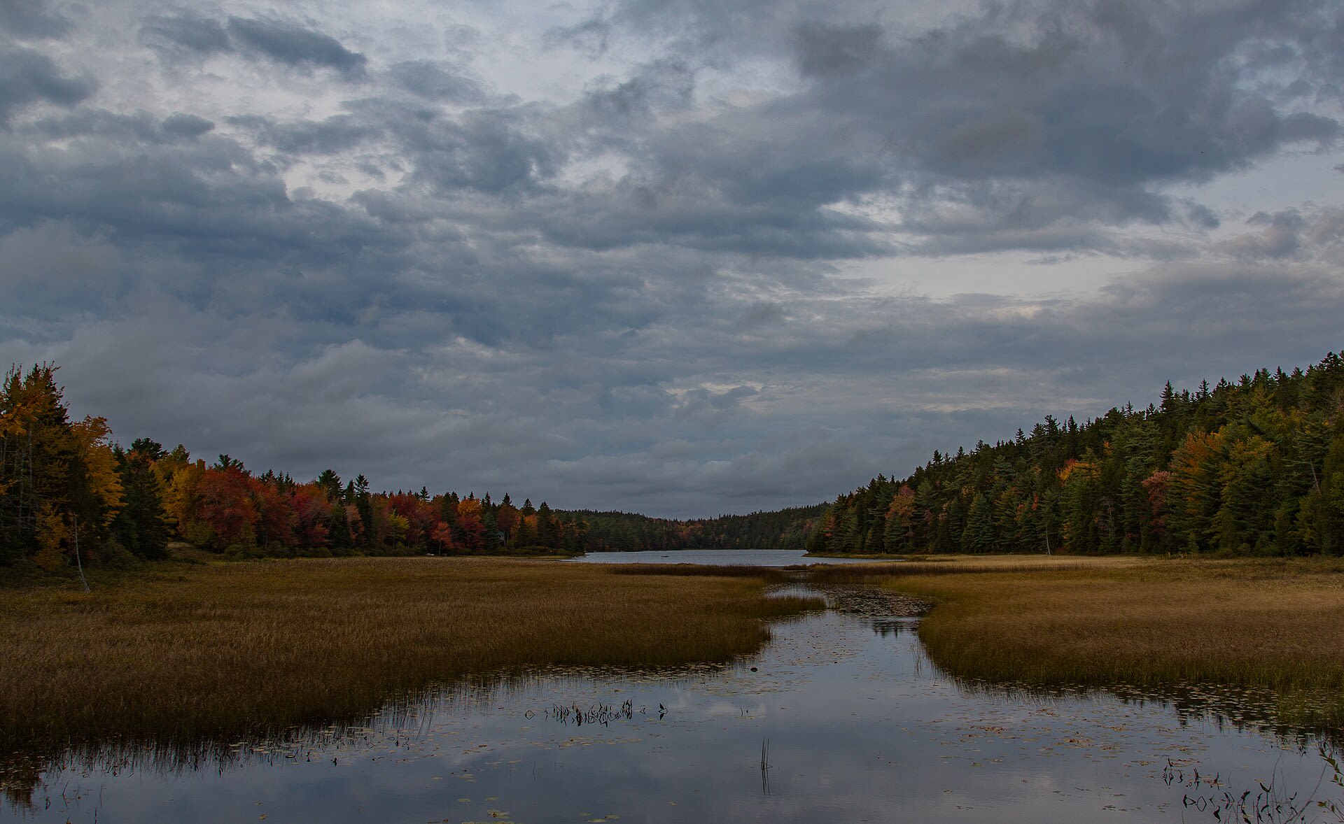 Best Time to Visit Bar Harbor, Maine