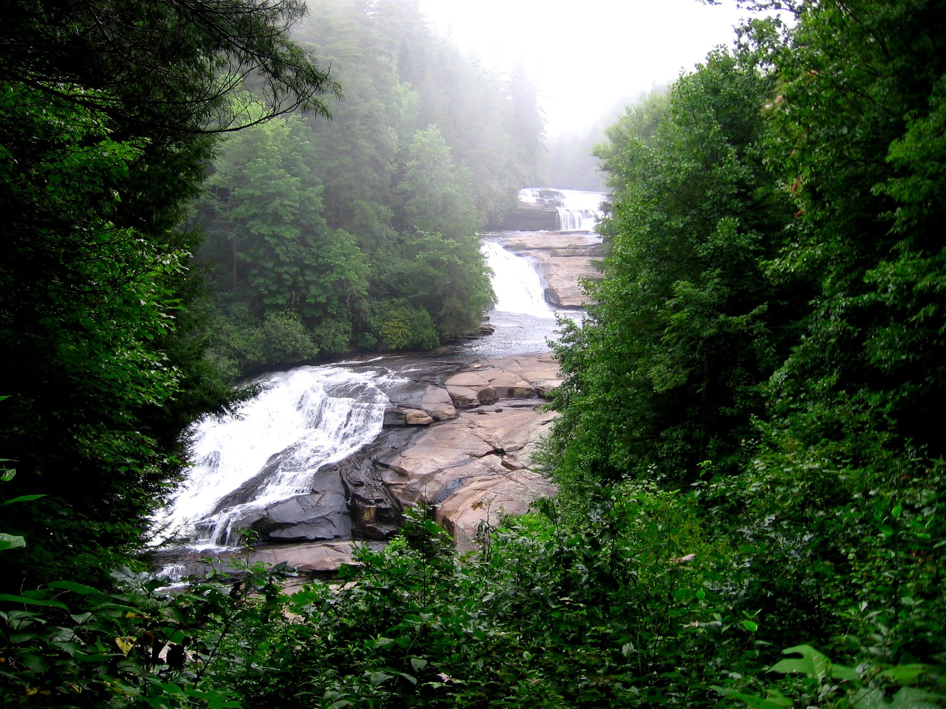 Brevard, North Carolina Travel Guide: Waterfalls, White Squirrels, and Pisgah National Forest