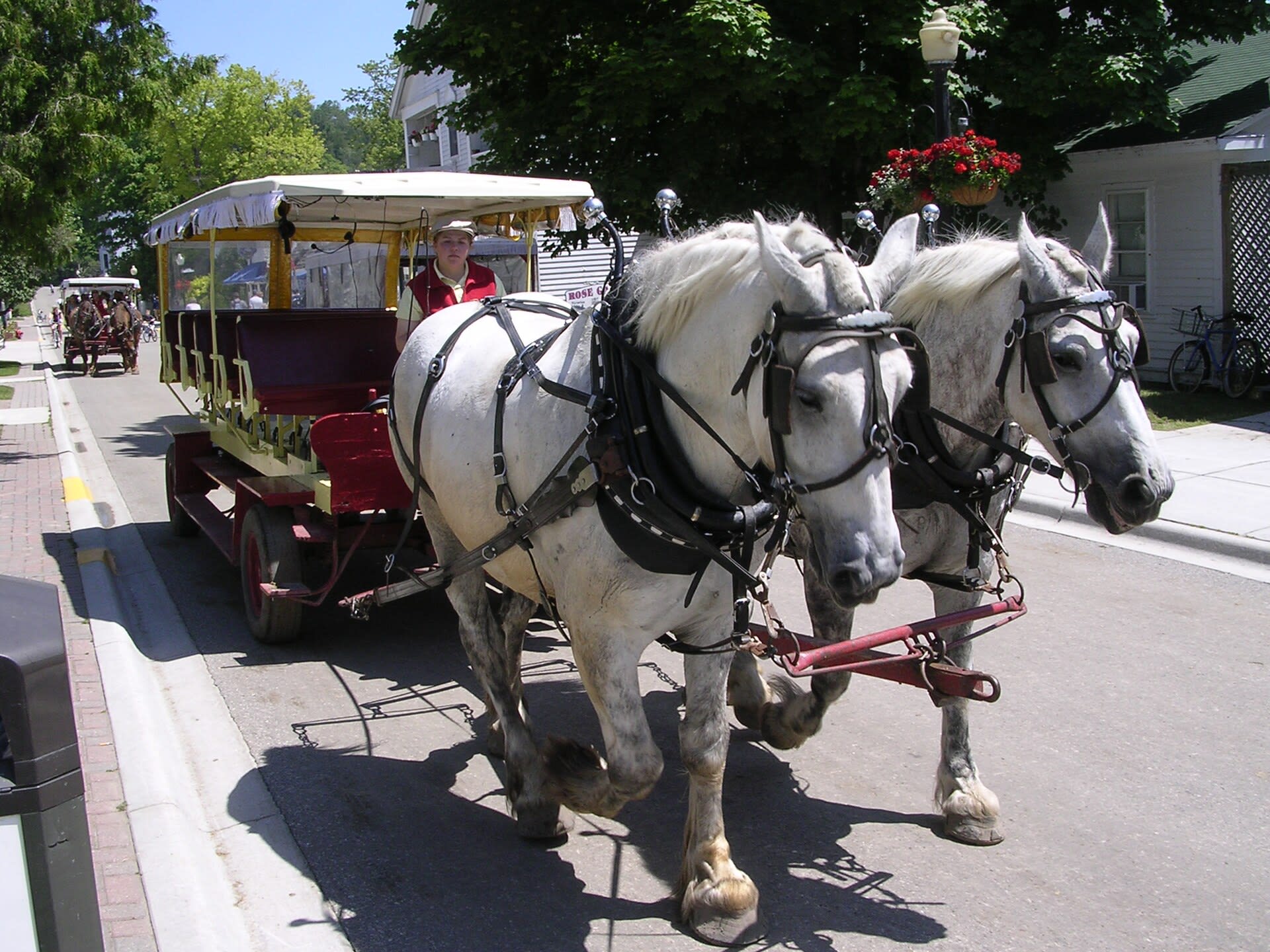 A horse-drawn carriage on Mackinac Island