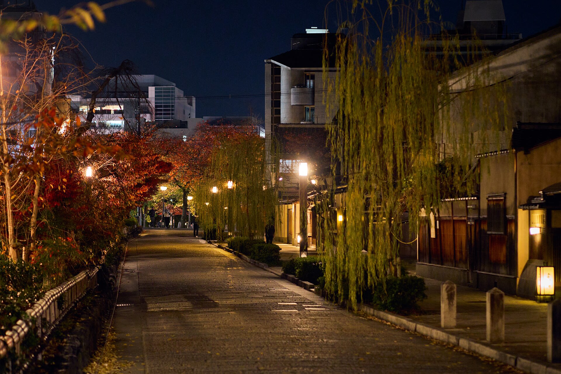 Bars & Nightlife in Kyoto