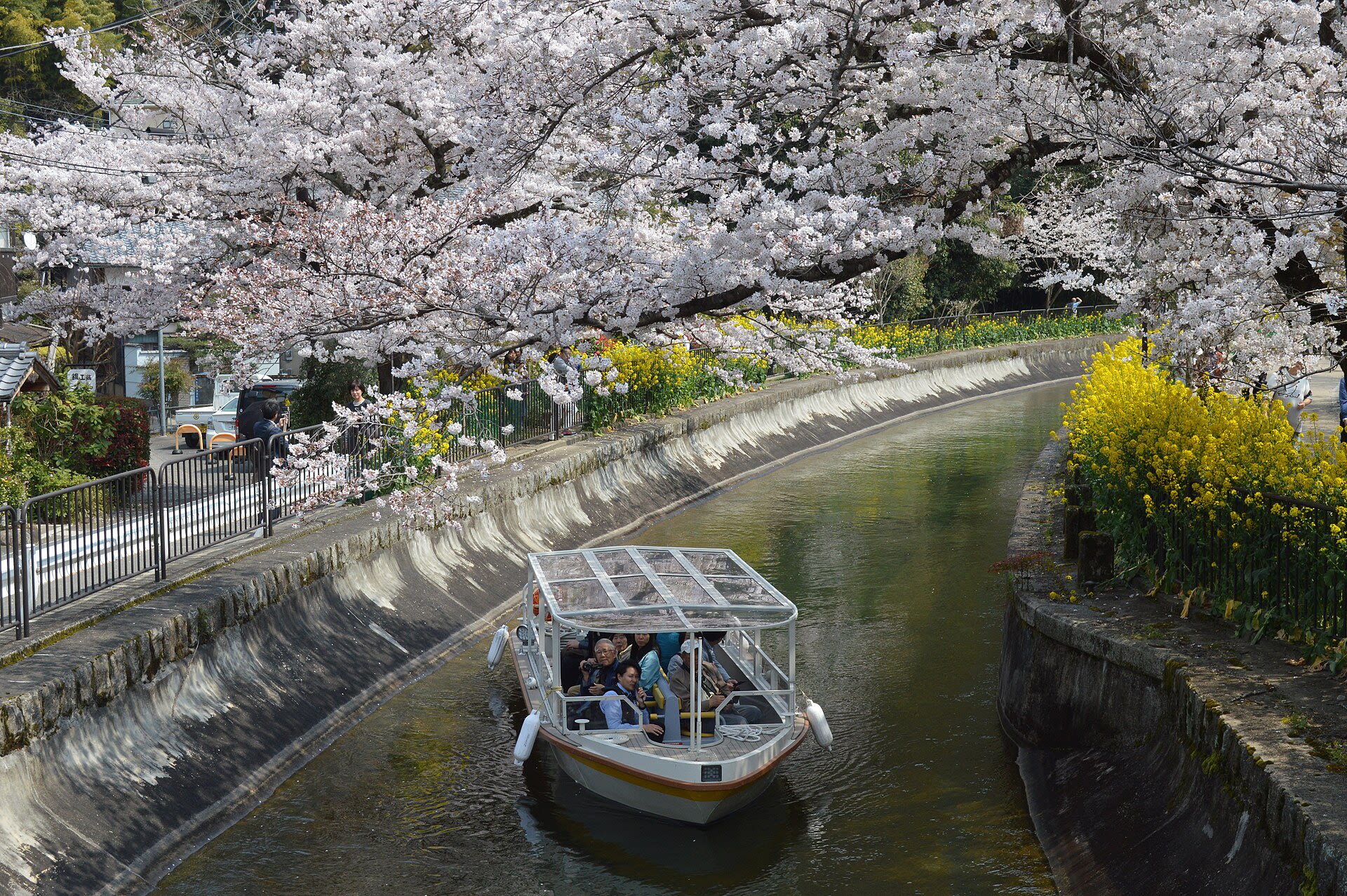 Canal boat cruise on the Lake Biwa Canal in spring