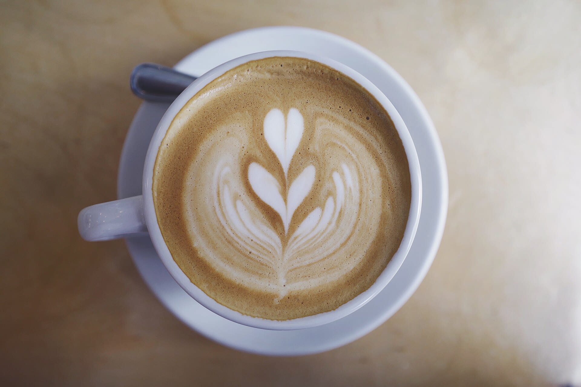 Latte art poured on a cup of coffee at a specialty cafe