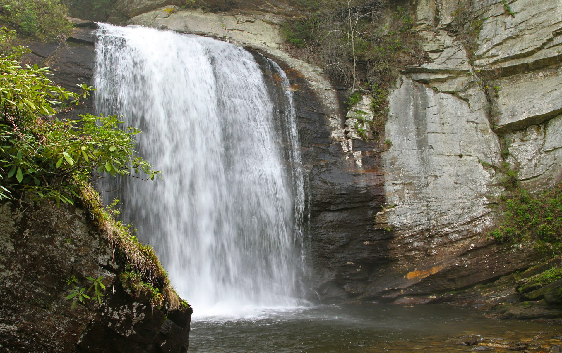 Things to Do in Brevard, NC: Waterfalls, Pisgah Forest, and DuPont State Forest