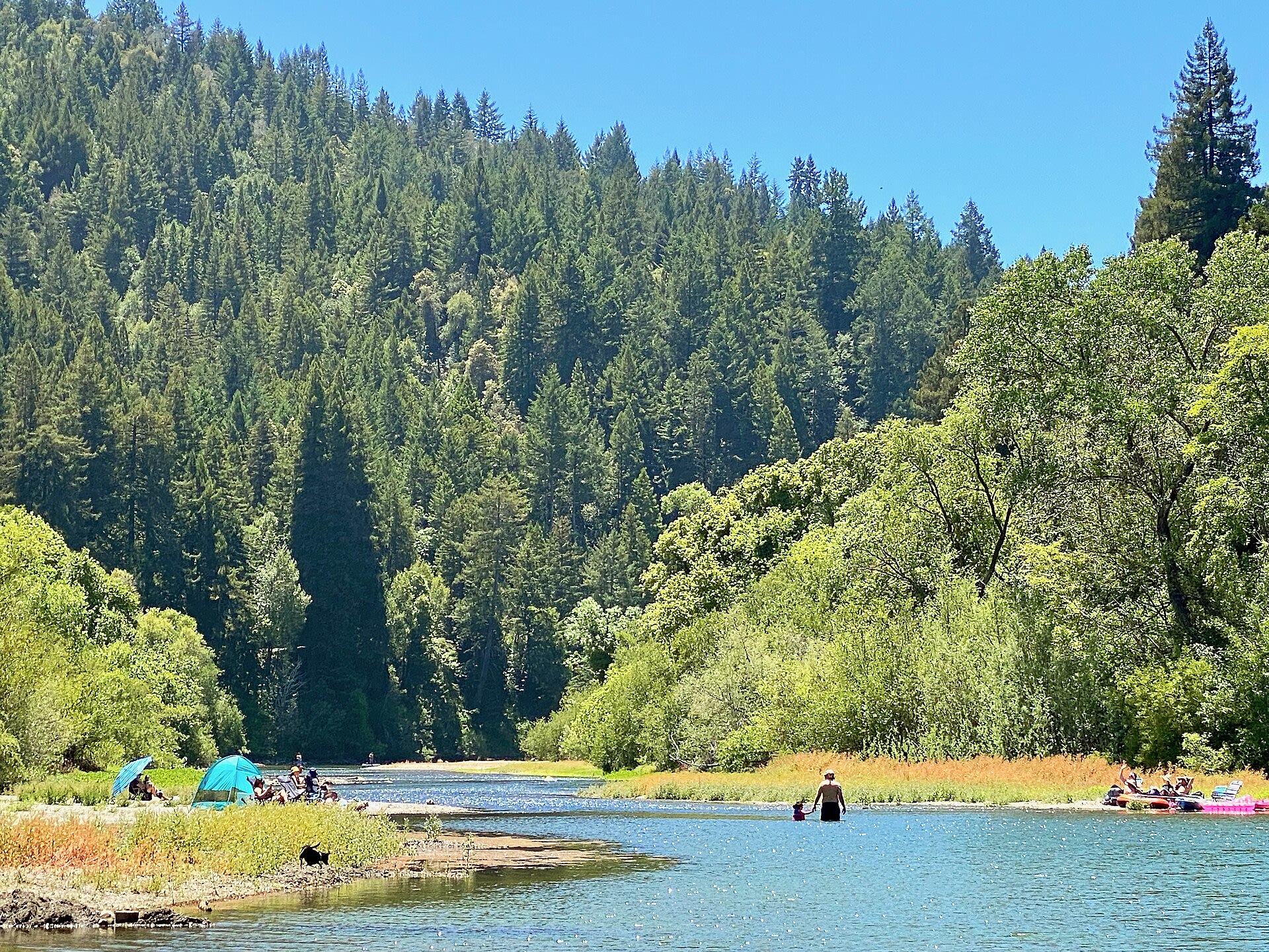 People swimming at a beach on the Russian River