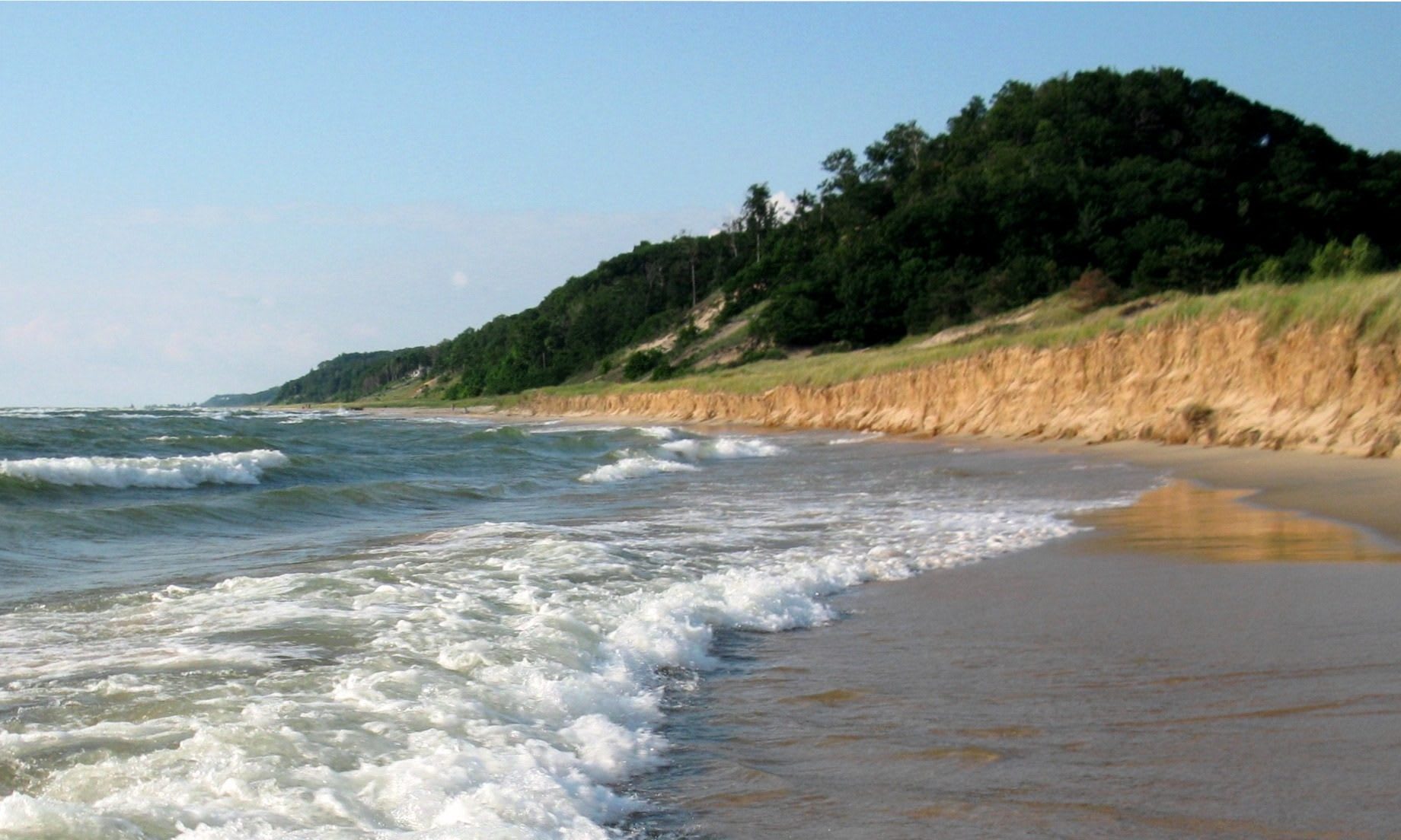A large forested dune bluff overlooking Lake Michigan at Saugatuck Dunes State Park