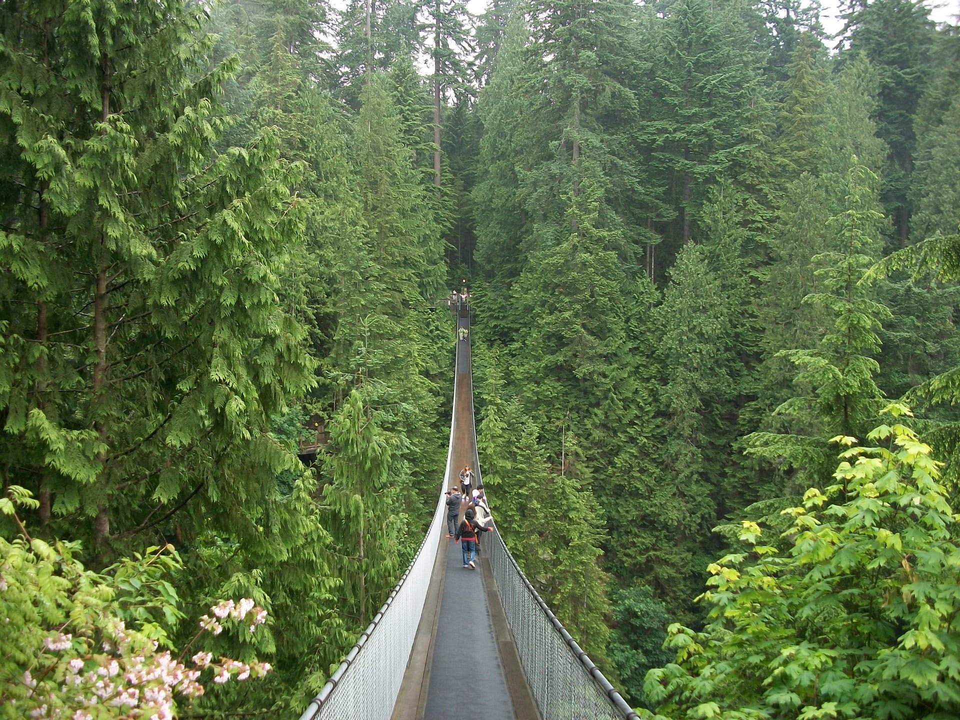 Capilano Suspension Bridge, Vancouver