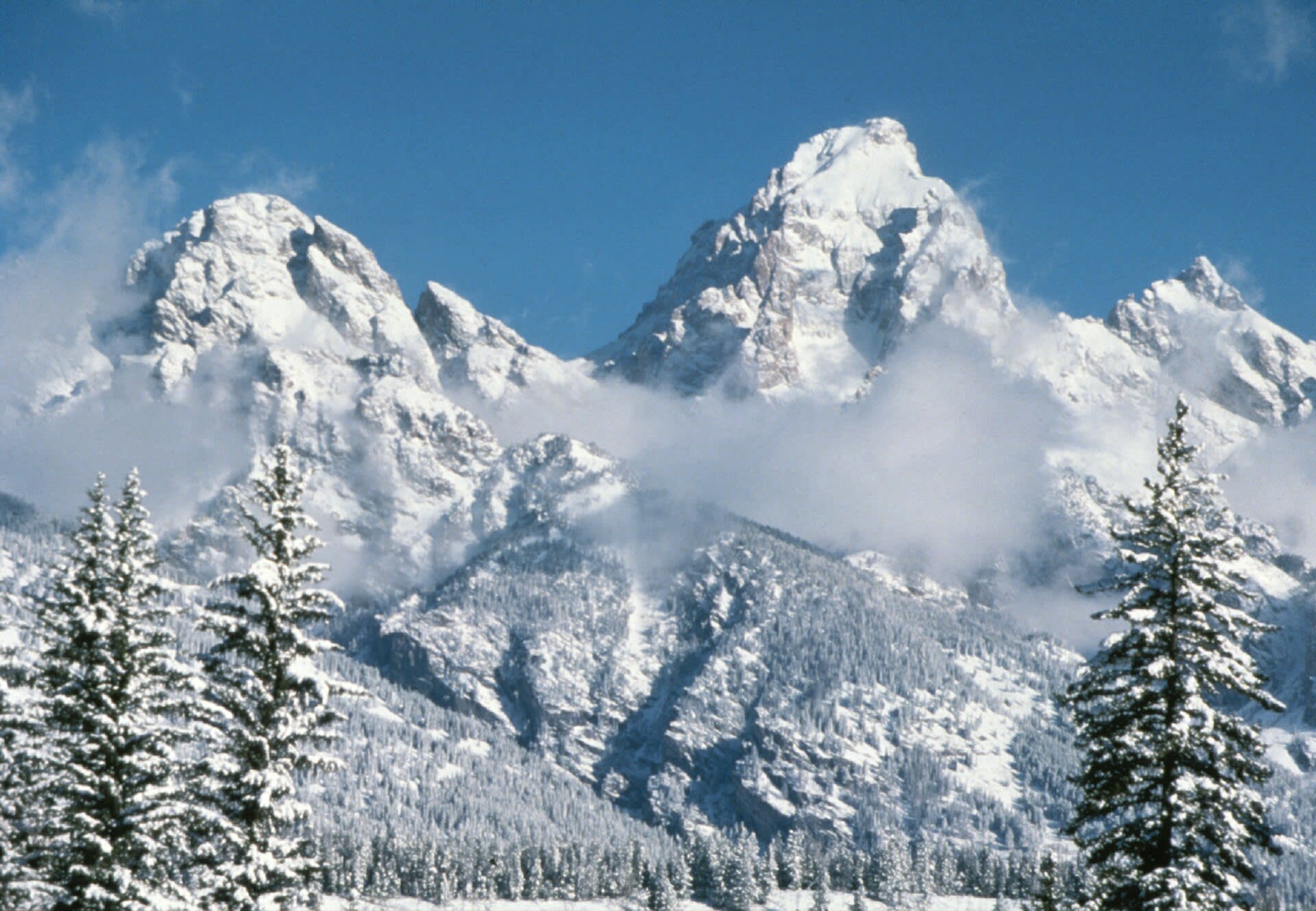 Best Time to Visit Jackson, Wyoming