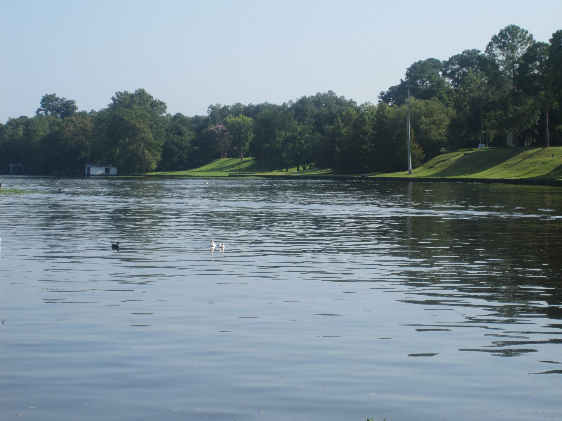 Louisiana