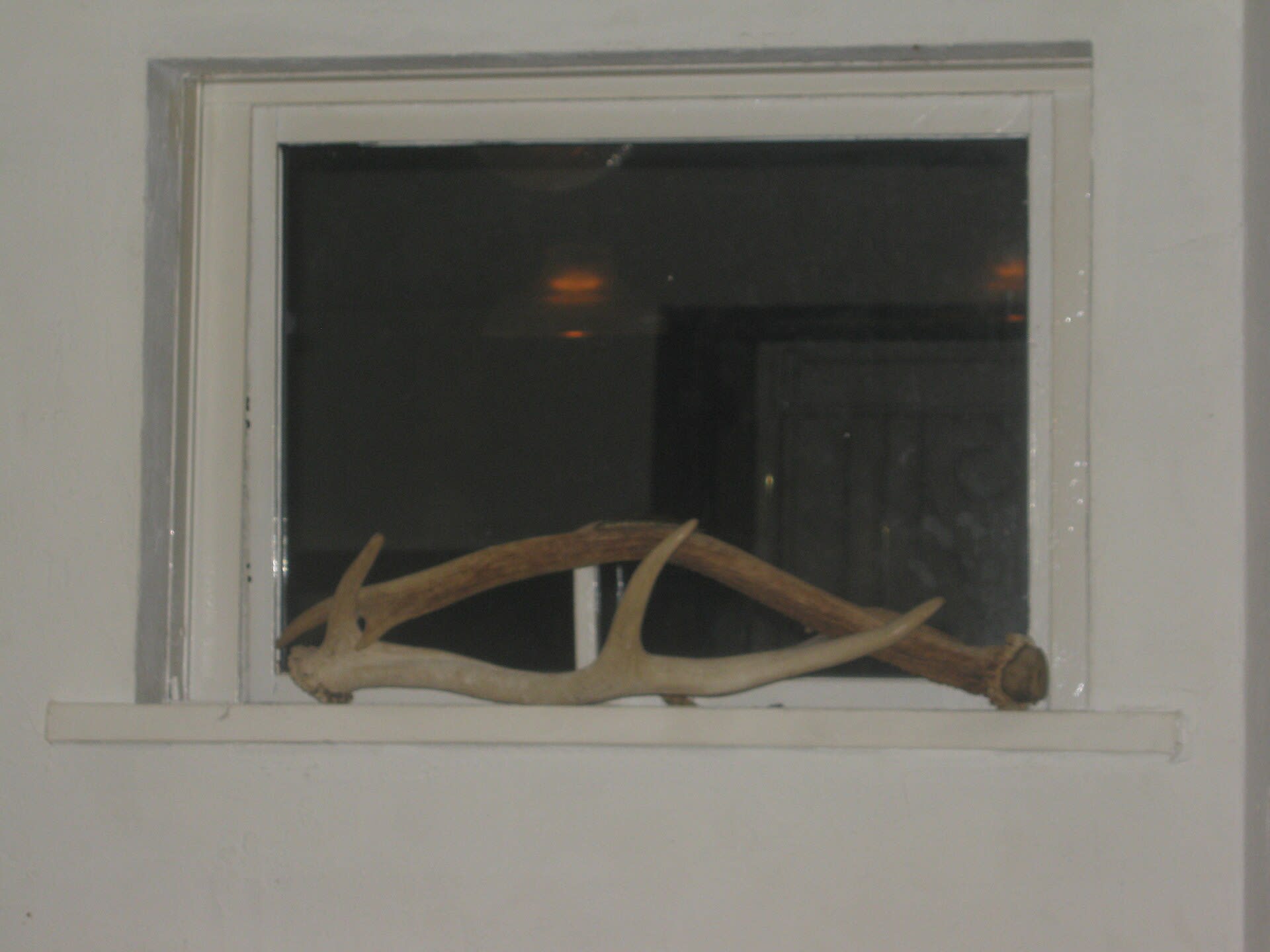 Golden Gai's narrow bars lit up at night