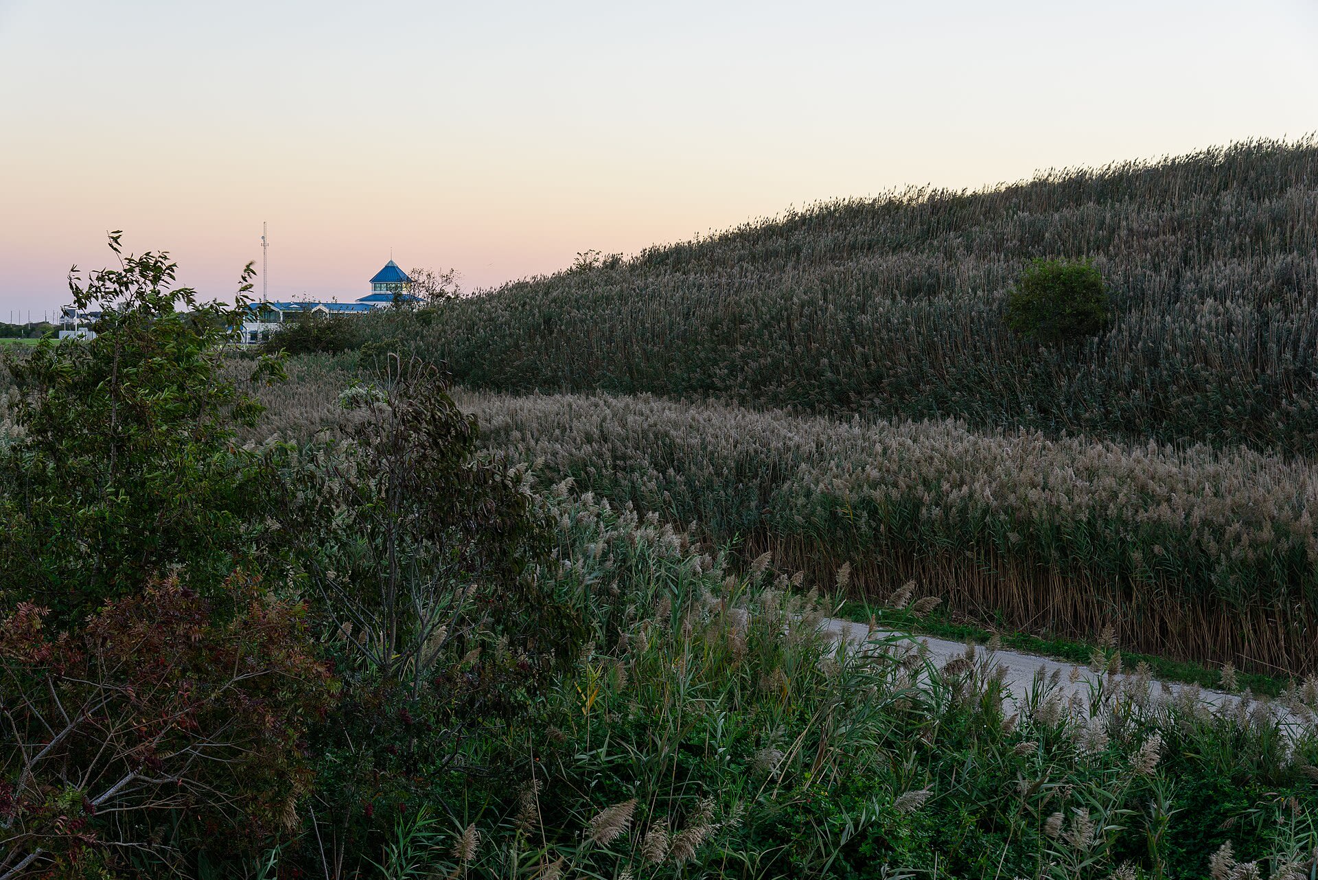 Best Time to Visit Cape May, New Jersey