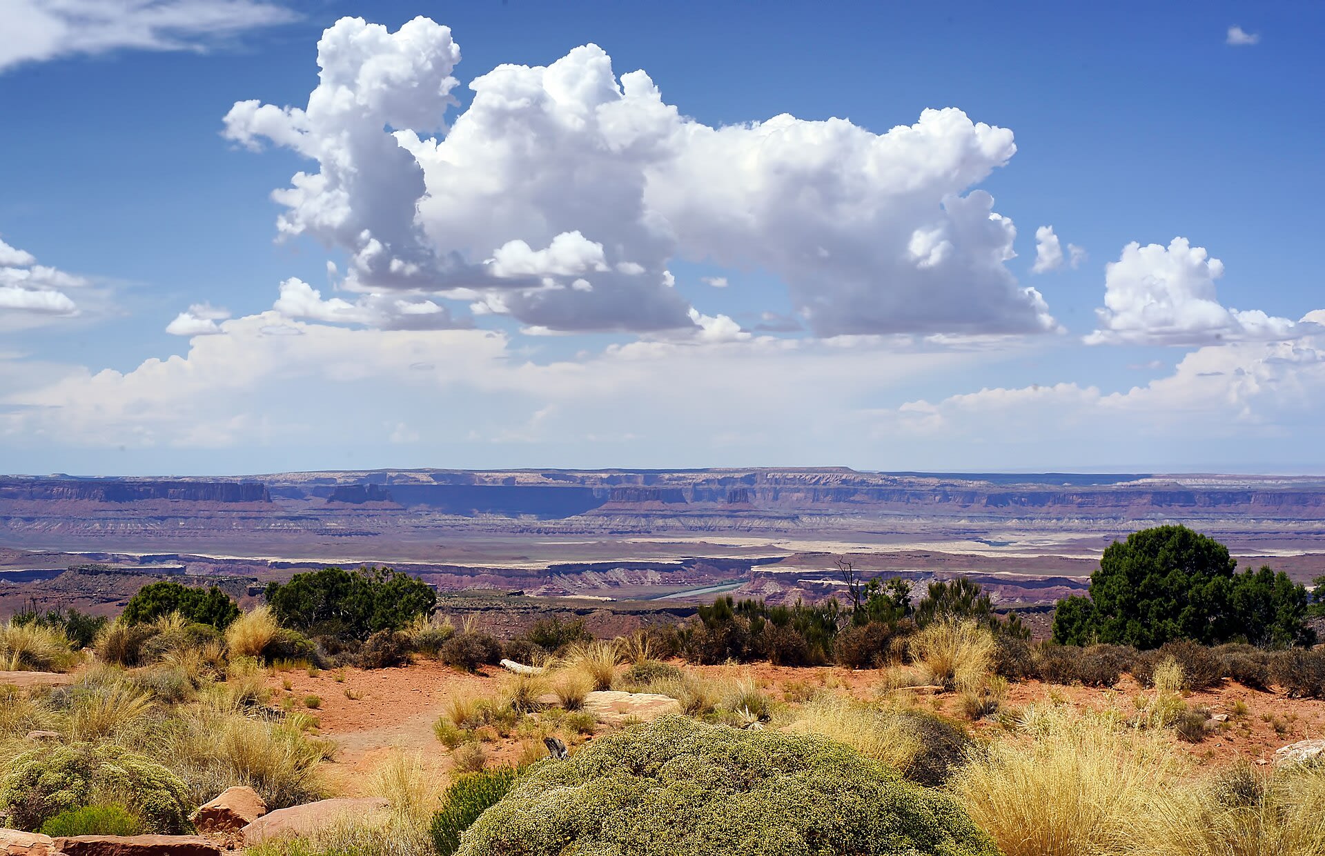 Overlook at Dead Horse Point State Park above the Colorado River