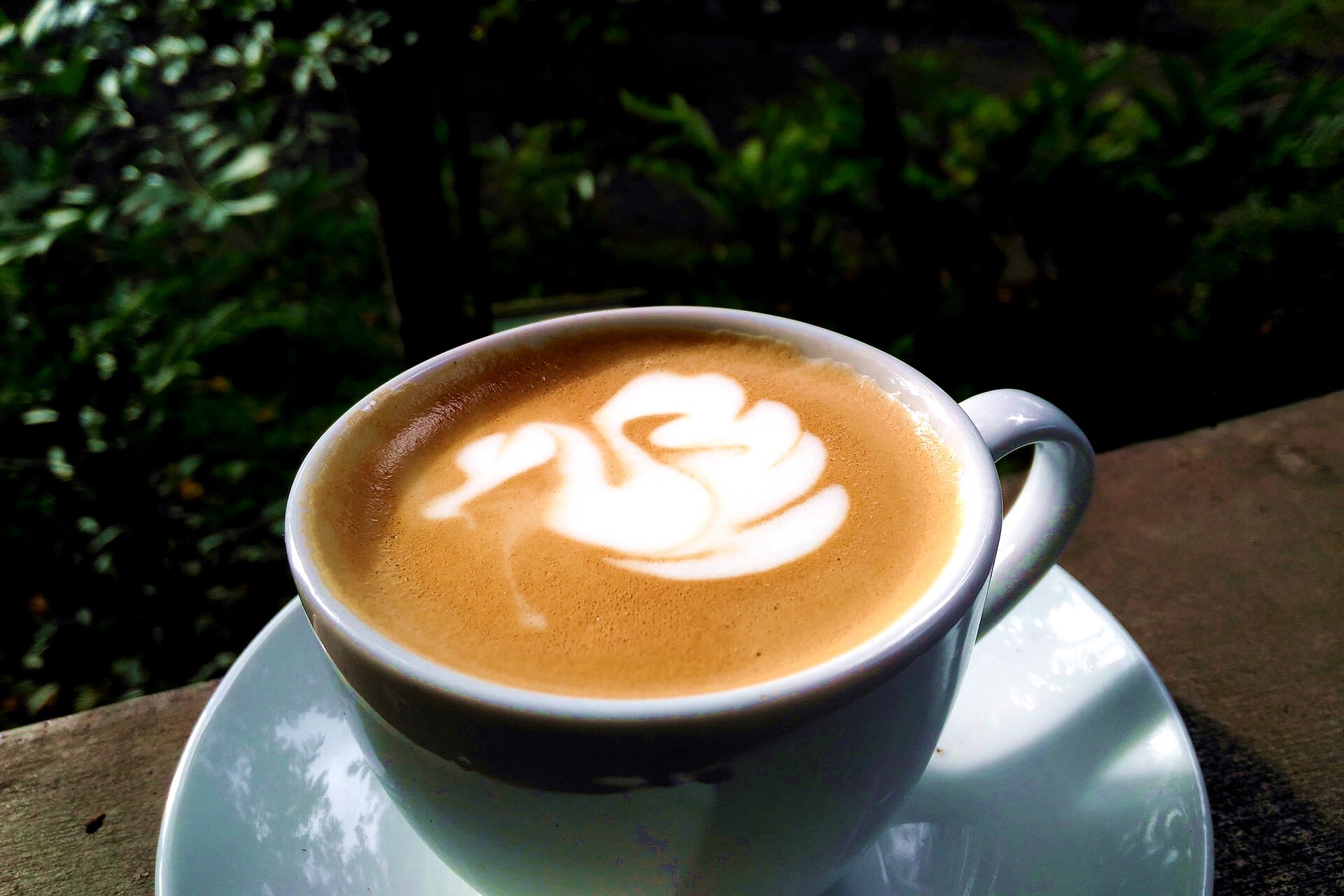 Best Cafes in Fredericksburg, TX