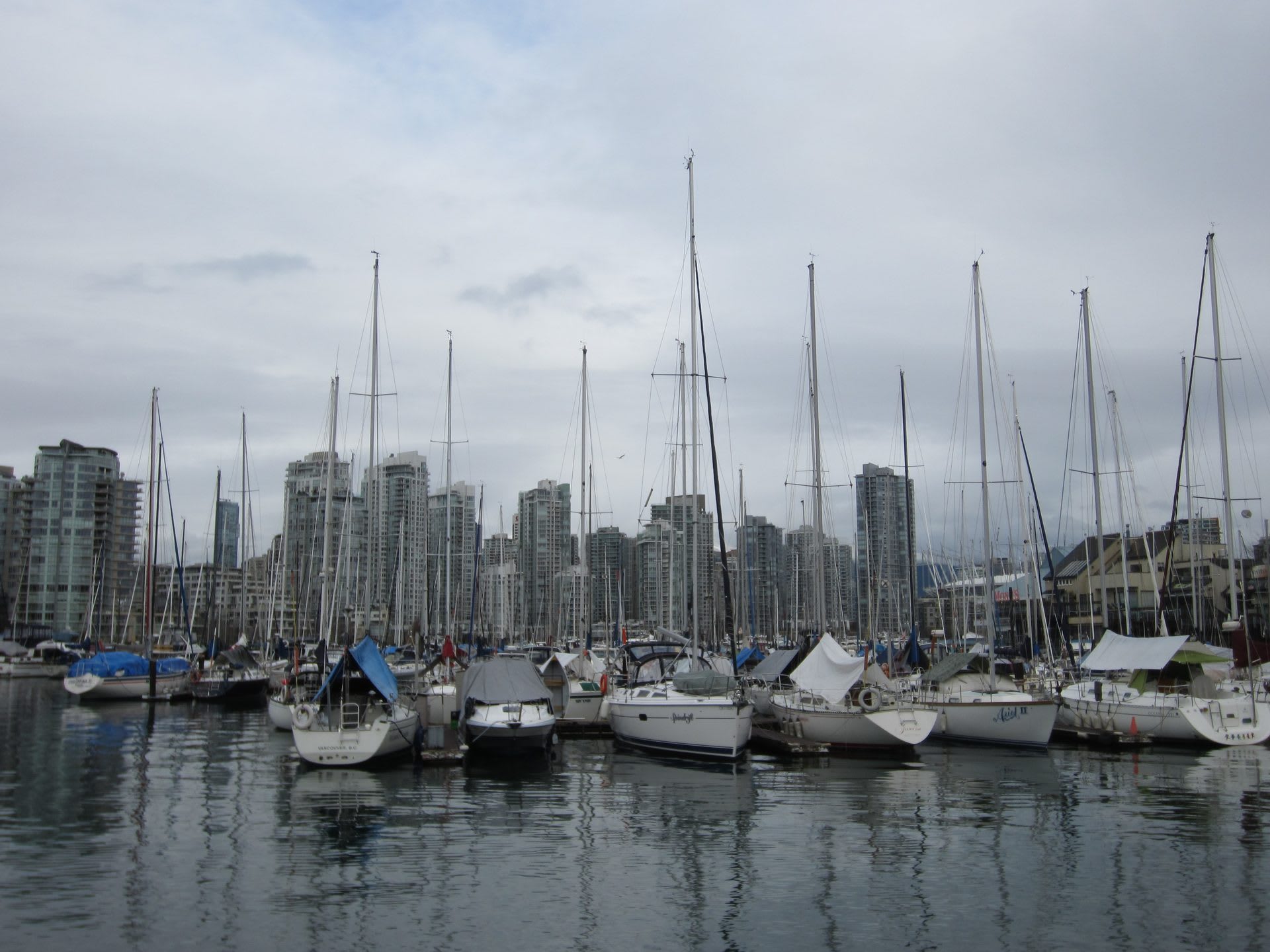 Vancouver skyline seen from Stanley Park's Seawall