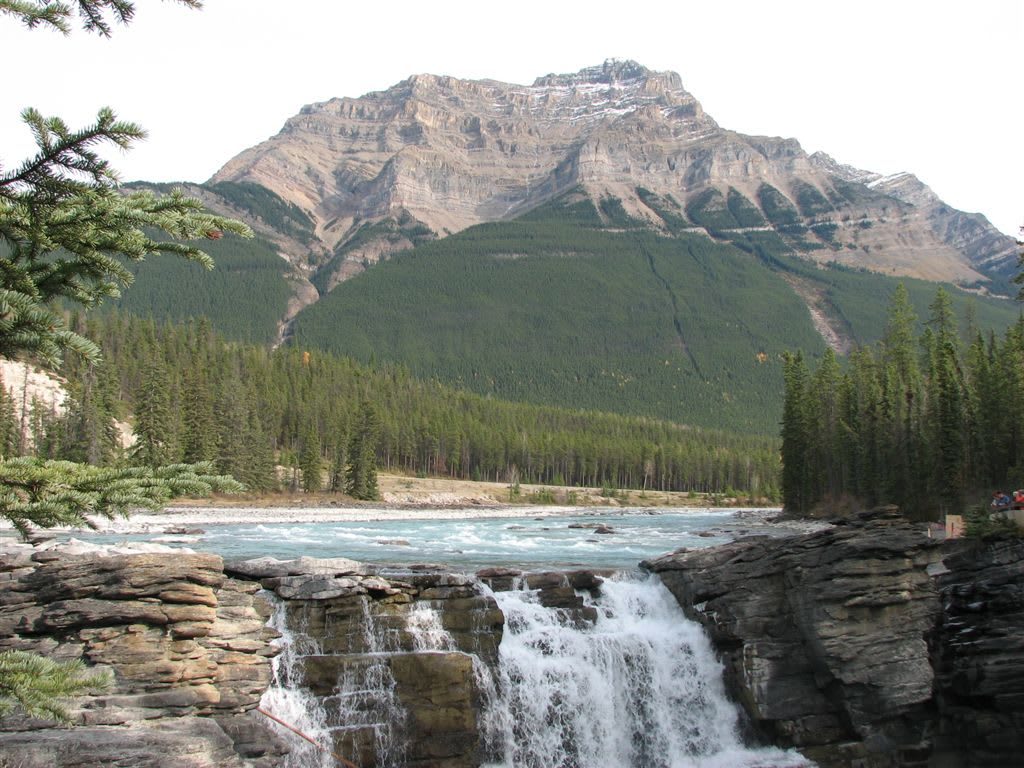 Athabasca Falls churning through a narrow quartzite canyon in Jasper National Park