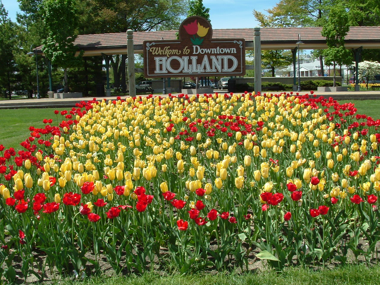 Best Time to Visit Holland