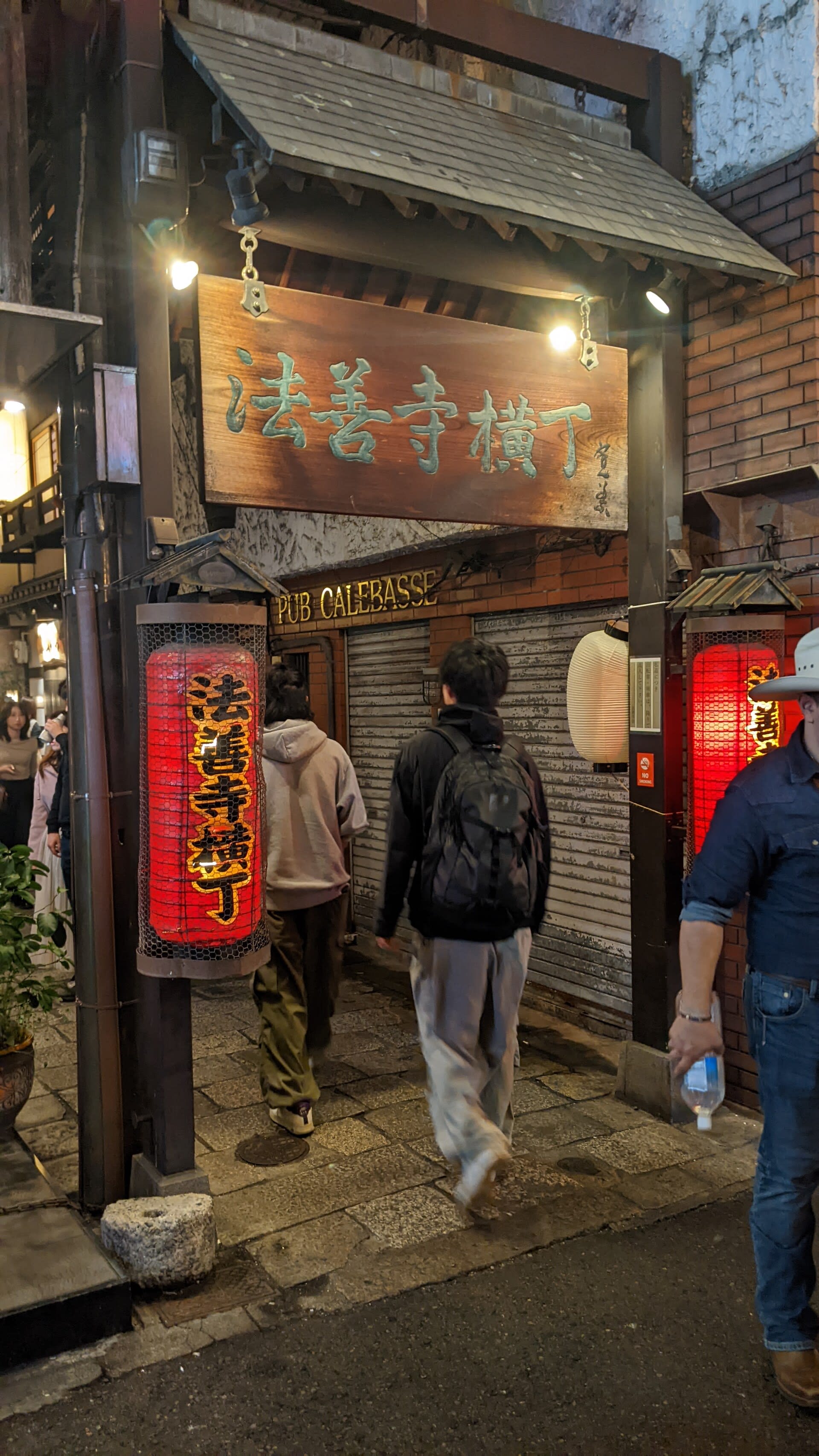 The narrow Hozenji Yokocho alley behind Dotonbori