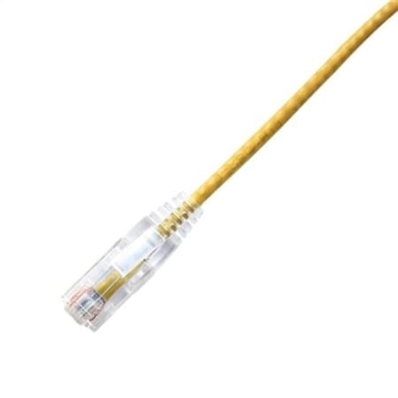 cpcs-6ye