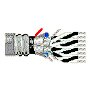 25505