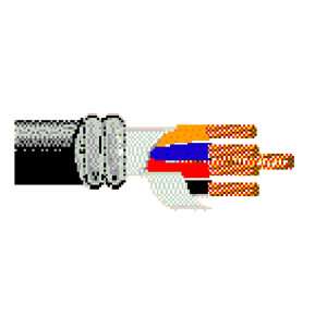 Belden 27258 Instrumentation Cable - 10 AWG 600V