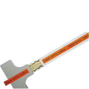 TFOT-1
