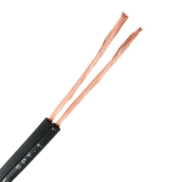 SPT-1
