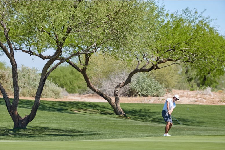 Man golfing next to trees