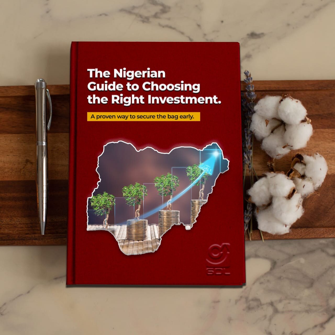 The Nigerian Guide to Choosing the Right Investment